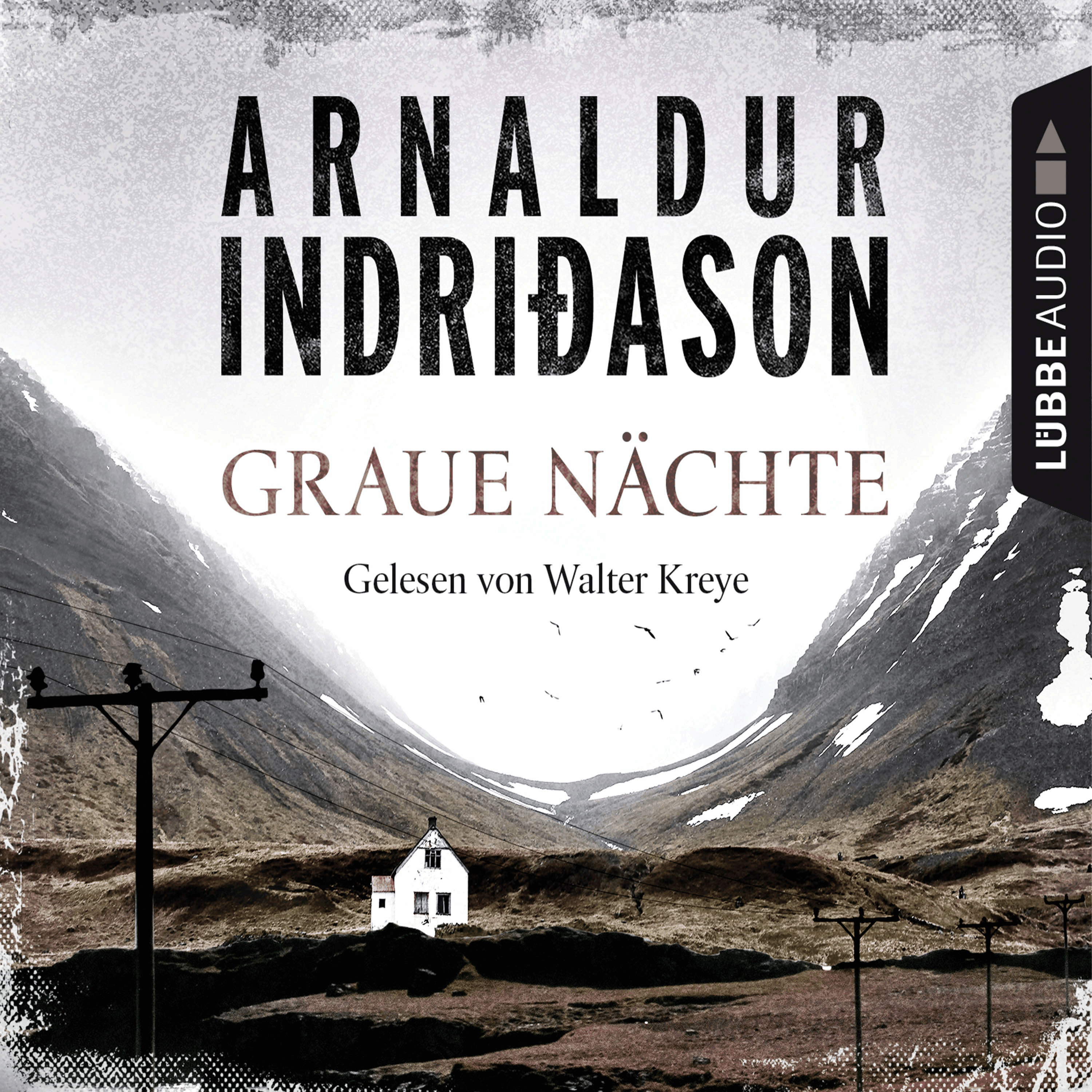 Graue Nächte - Island-Krimi - Flovent-Thorson-Krimis 2