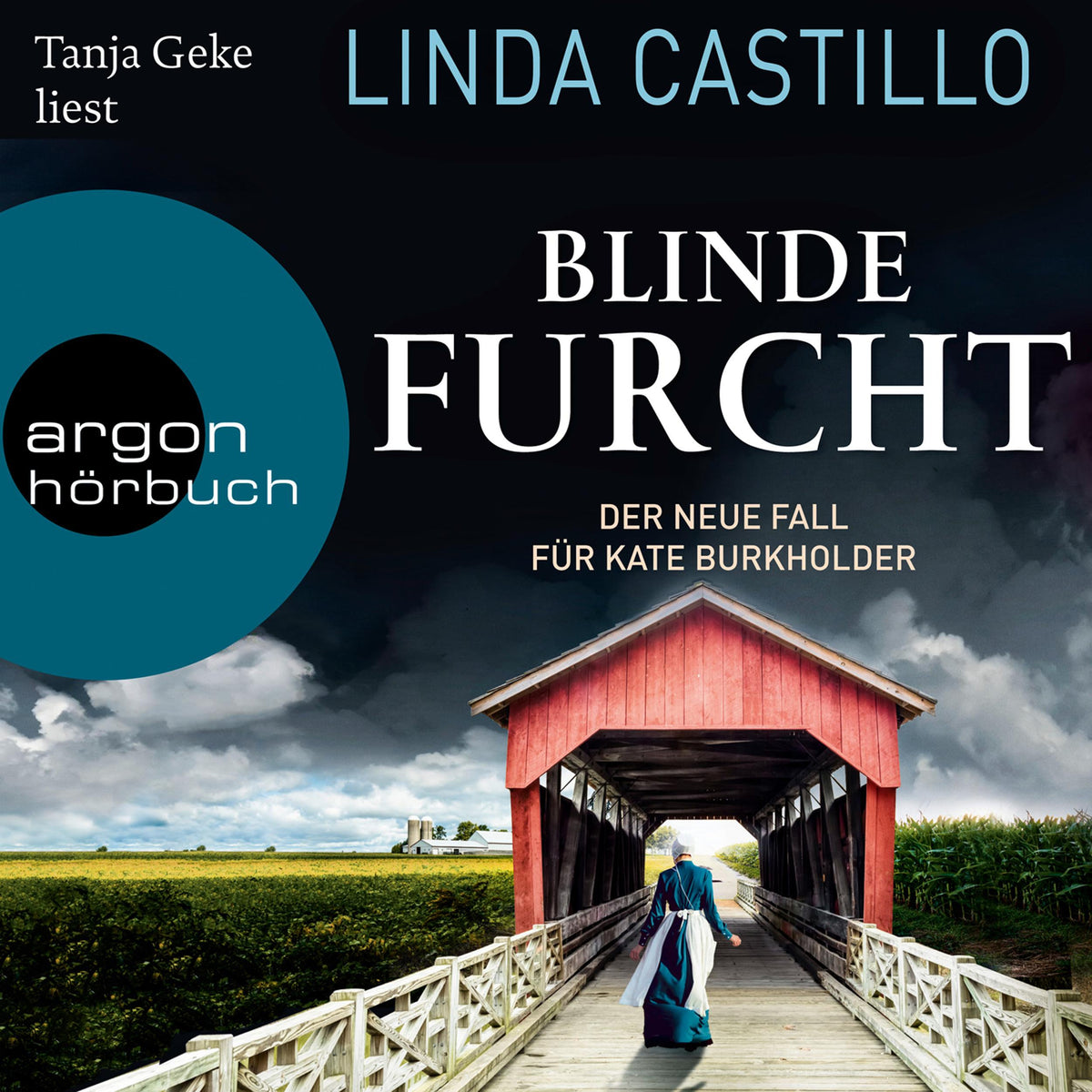 Blinde Furcht - Kate Burkholder ermittelt - Thriller, Band 13 (Gekürzte Lesung)