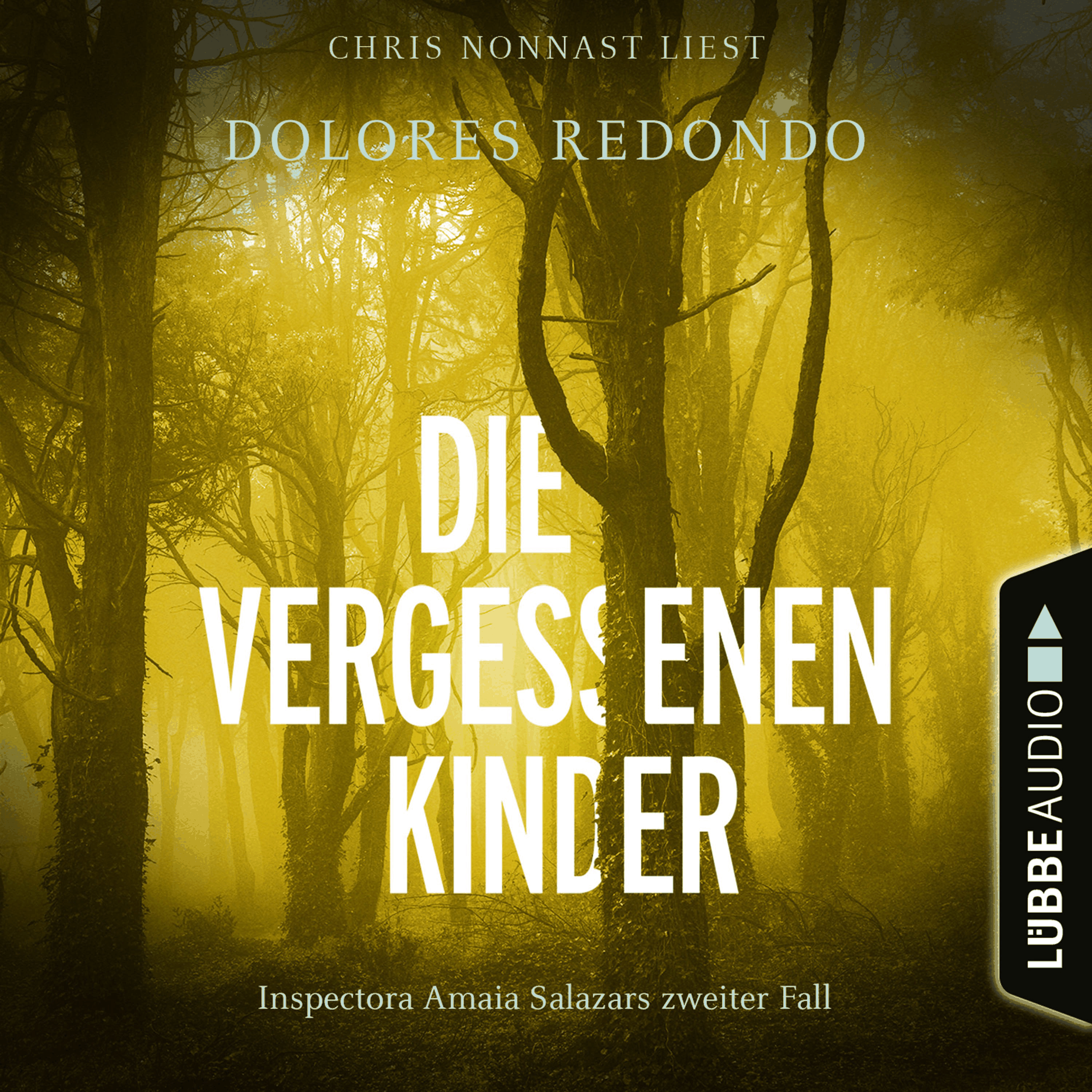 Die vergessenen Kinder - Inspectora Amaia Salazars zweiter Fall - Die Baztán-Trilogie, Teil 2
