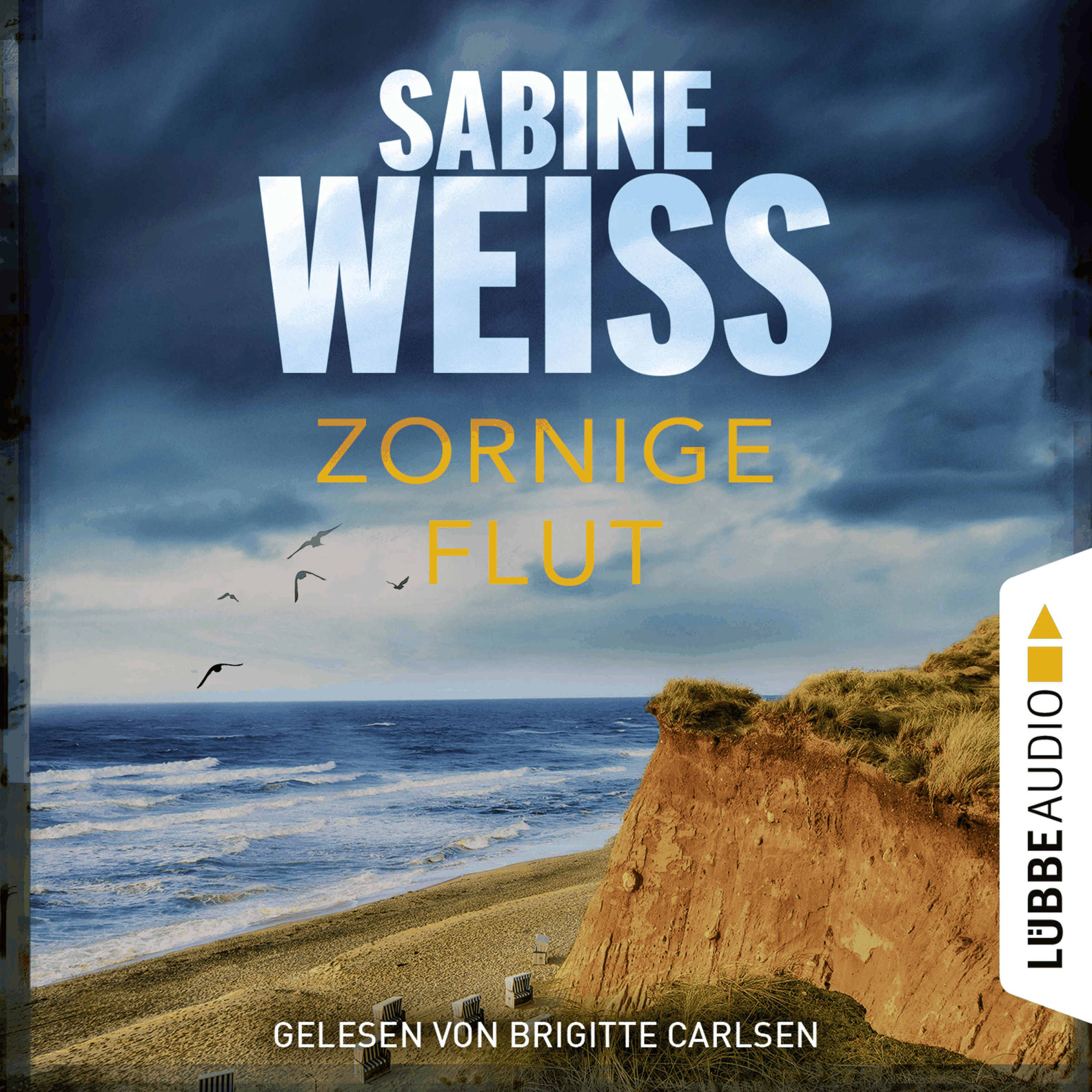 Zornige Flut - Sylt-Krimi - Liv Lammers, Teil 7