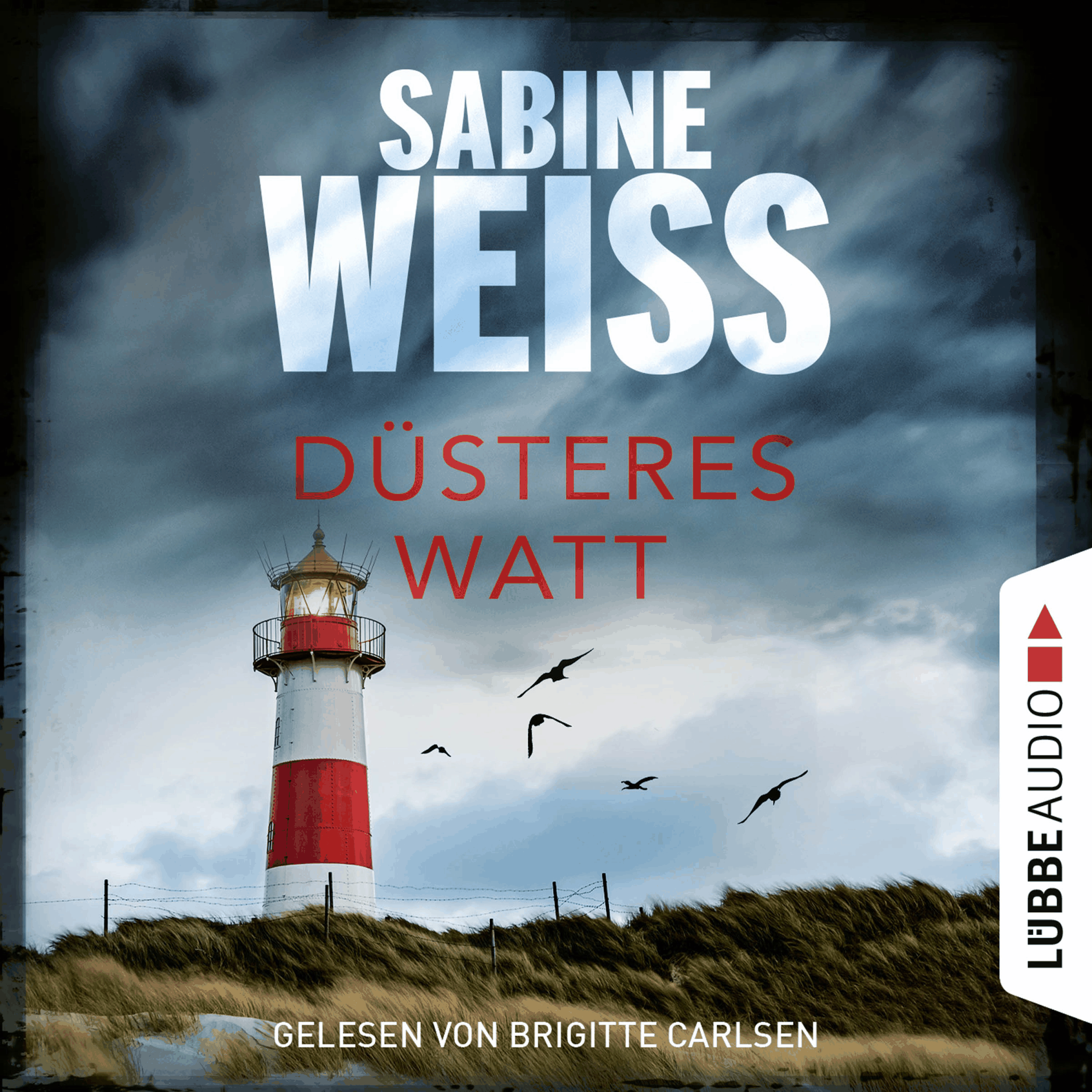Düsteres Watt - Liv Lammers, Teil 6