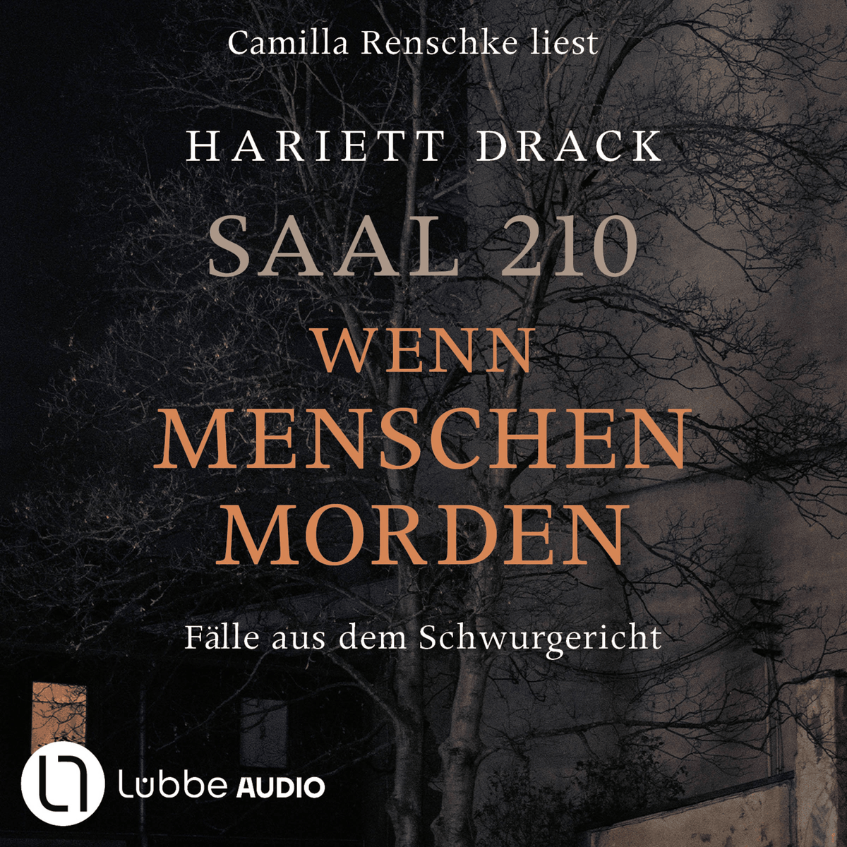 Saal 210 - Wenn Menschen morden - Fälle aus dem Schwurgericht