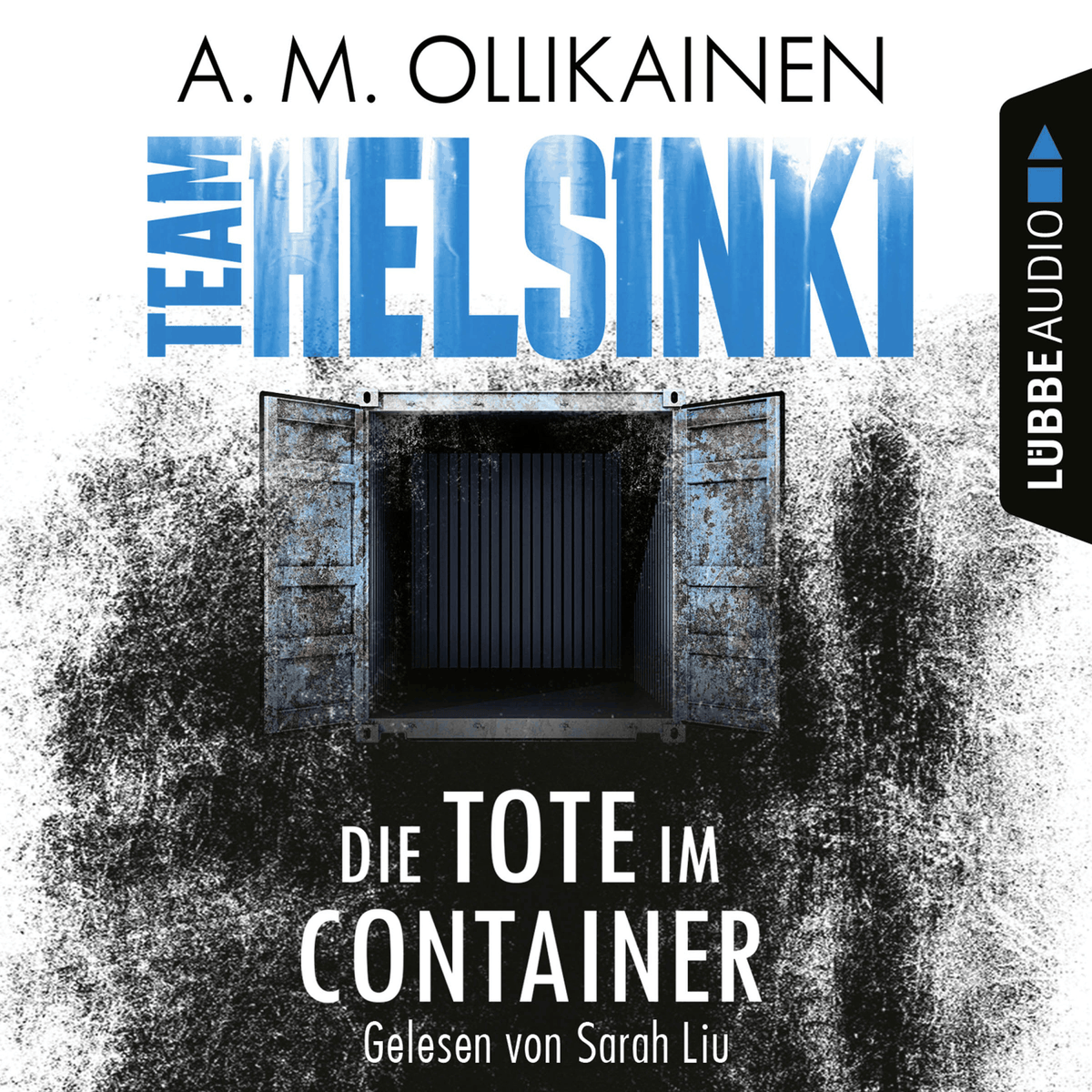 Die Tote im Container - TEAM HELSINKI - Paula Pihlaja-Reihe, Teil 1