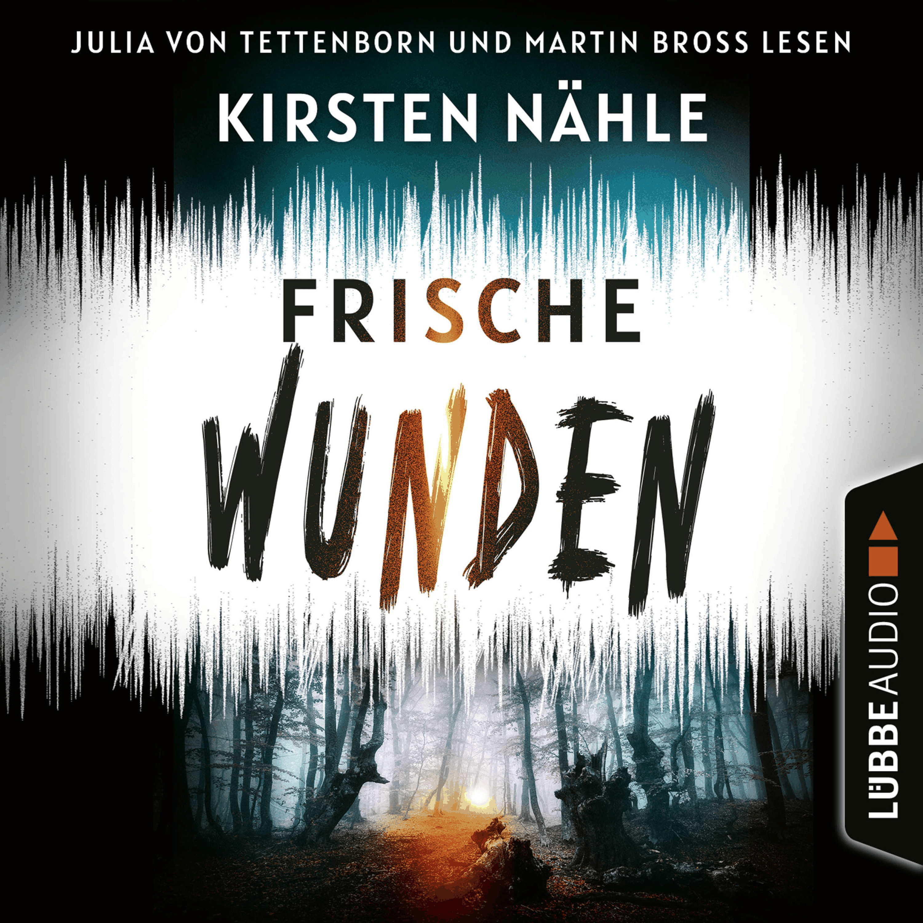 Frische Wunden - Ermittlerkrimi mit Stahl und Freund, Teil 2