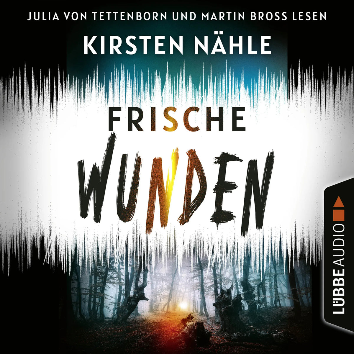 Frische Wunden - Ermittlerkrimi mit Stahl und Freund, Teil 2