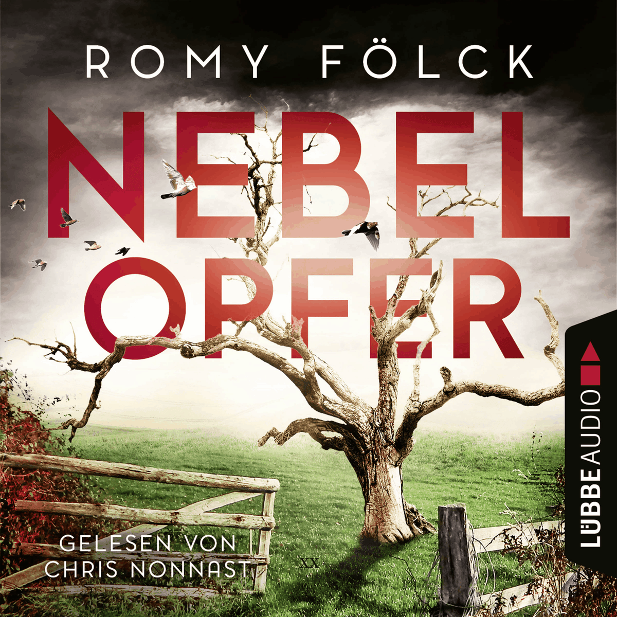Nebelopfer - Elbmarsch-Krimi, Teil 5