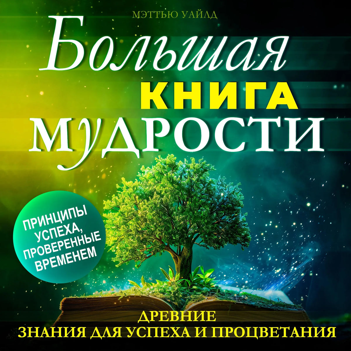 The Big Book of WISDOM