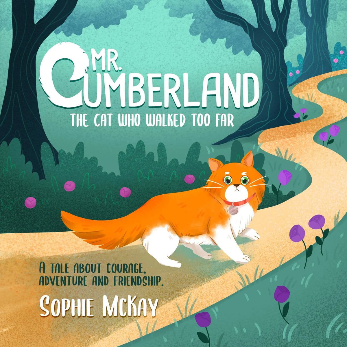 Mr Cumberland, the cat who walked too far