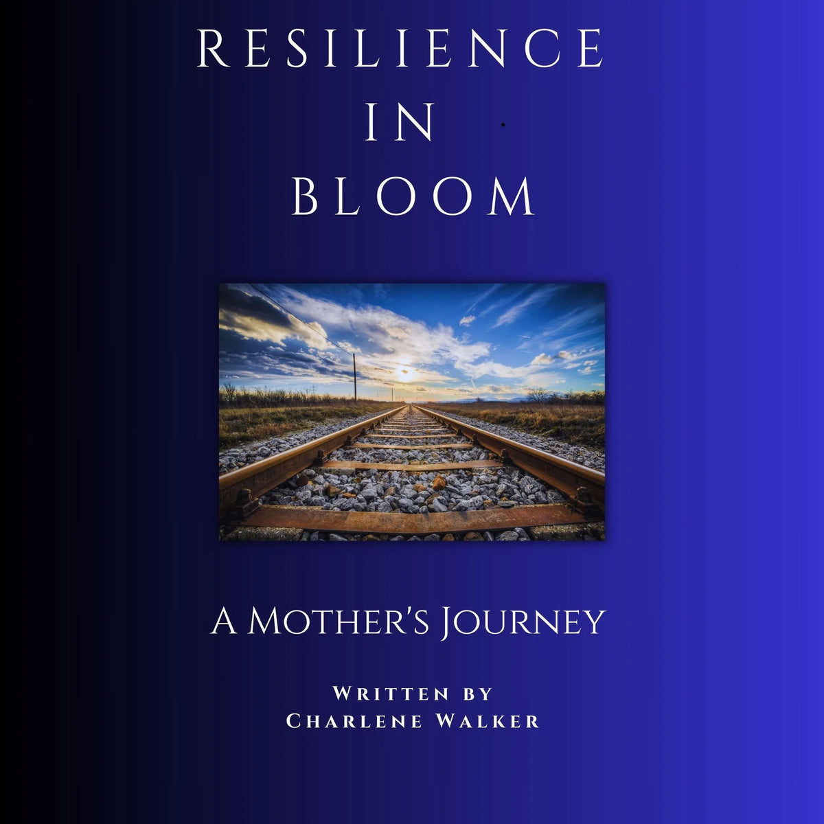 Resilience in Bloom
