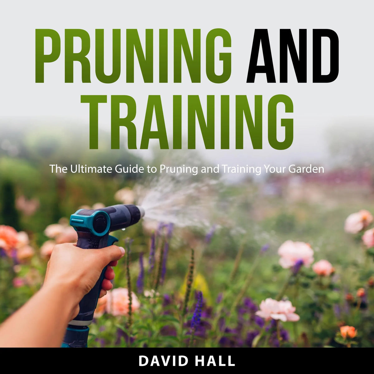 Pruning and Training