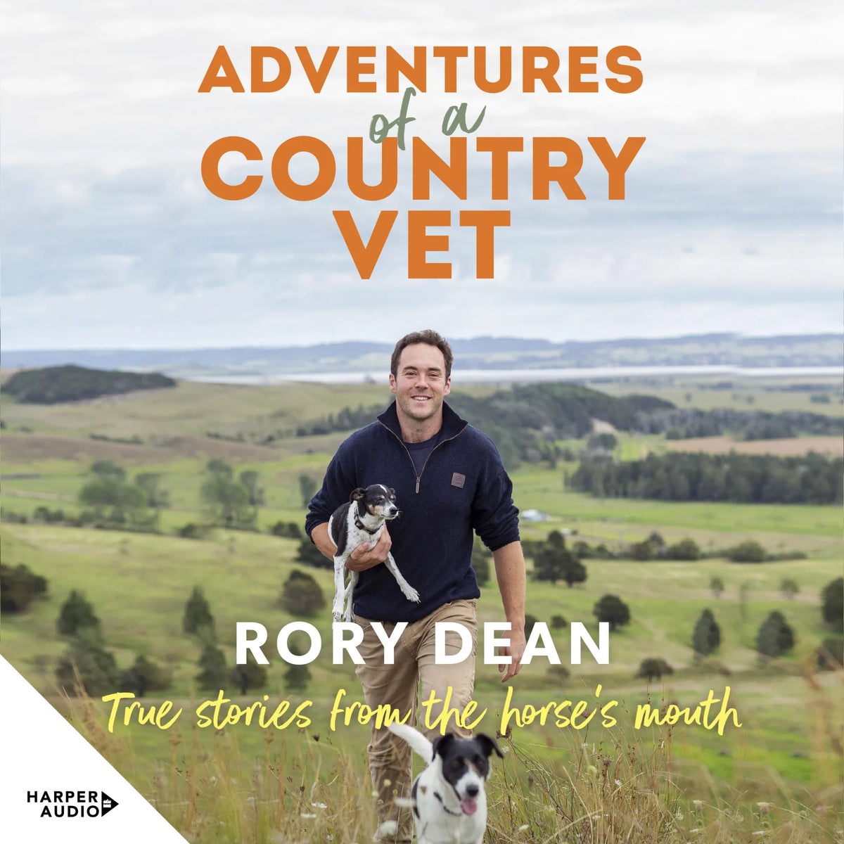 Adventures of a Country Vet