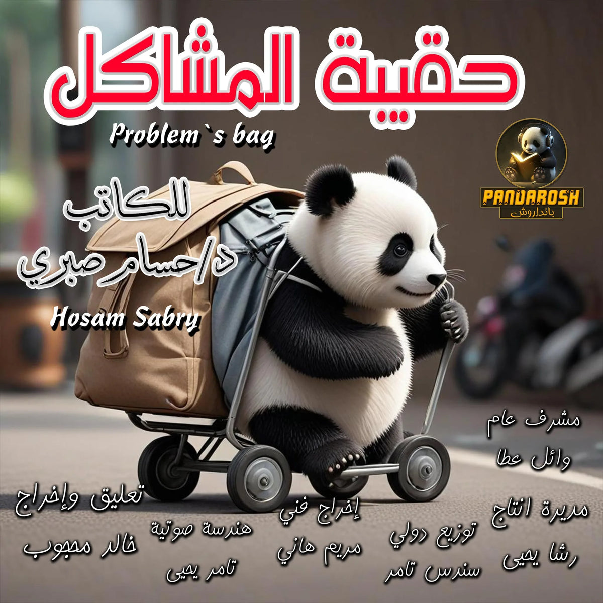 Problem's Bag