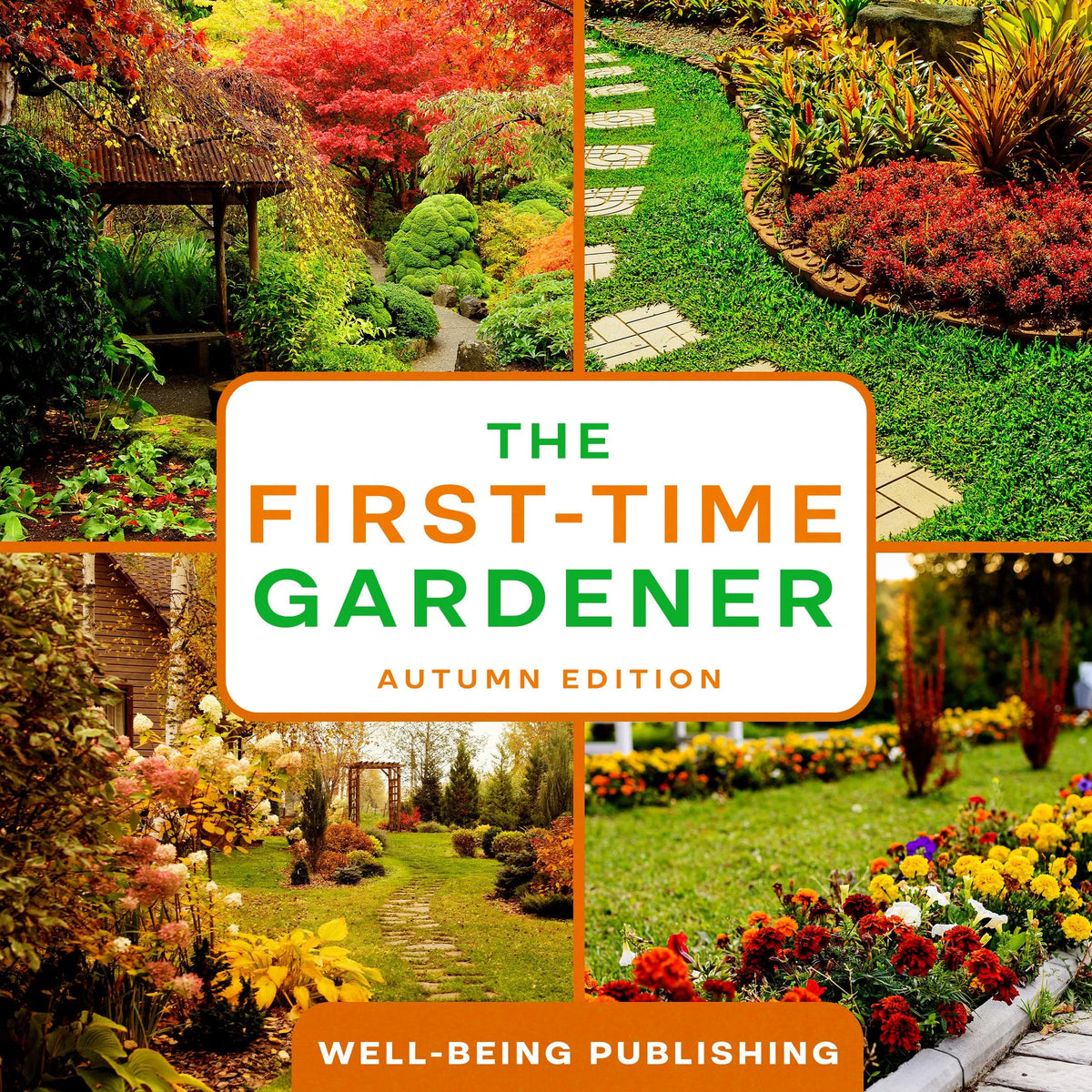 The First-Time Gardener