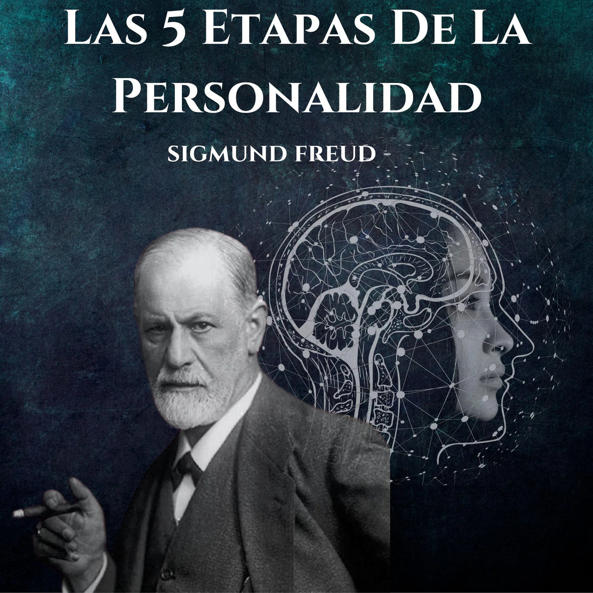 Las 5 Etapas De La Personalidad