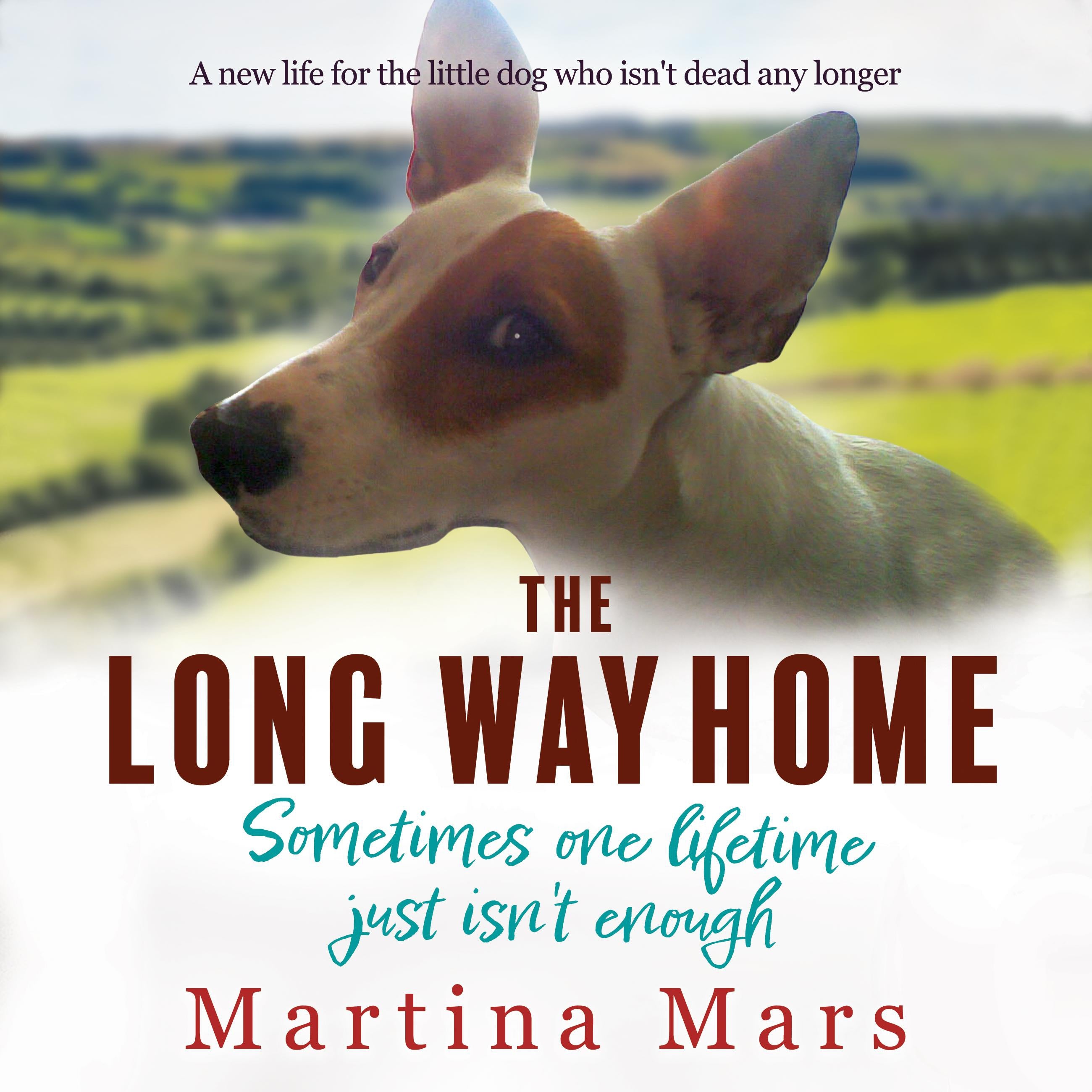 The Long Way Home