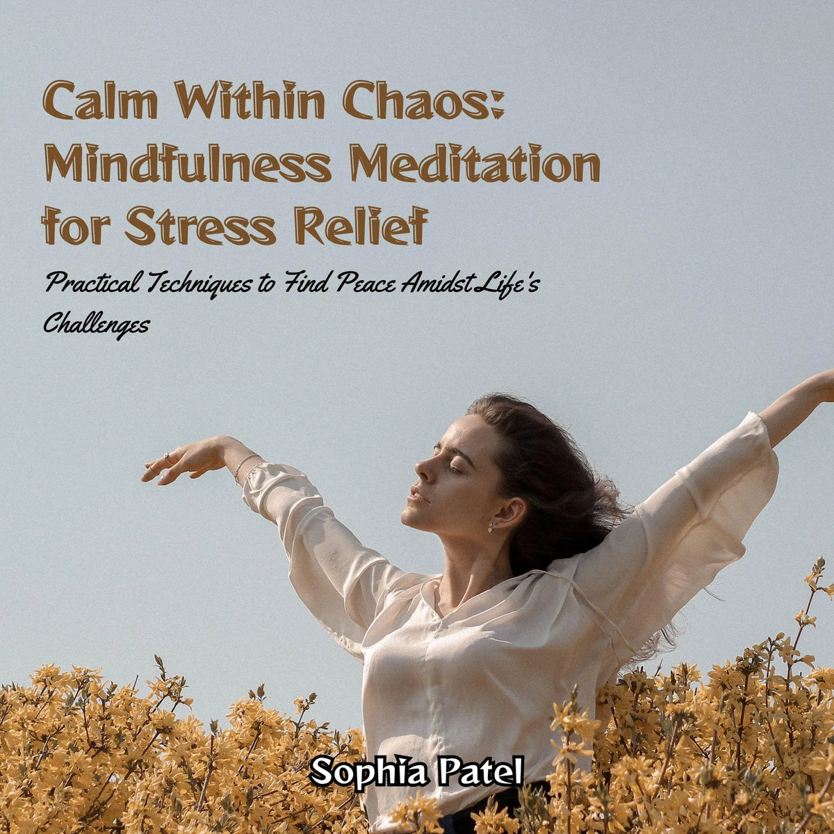 Calm Within Chaos: Mindfulness Meditation for Stress Relief