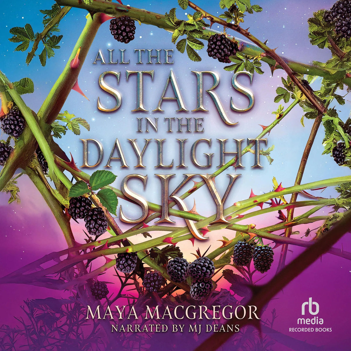 All the Stars in the Daylight Sky