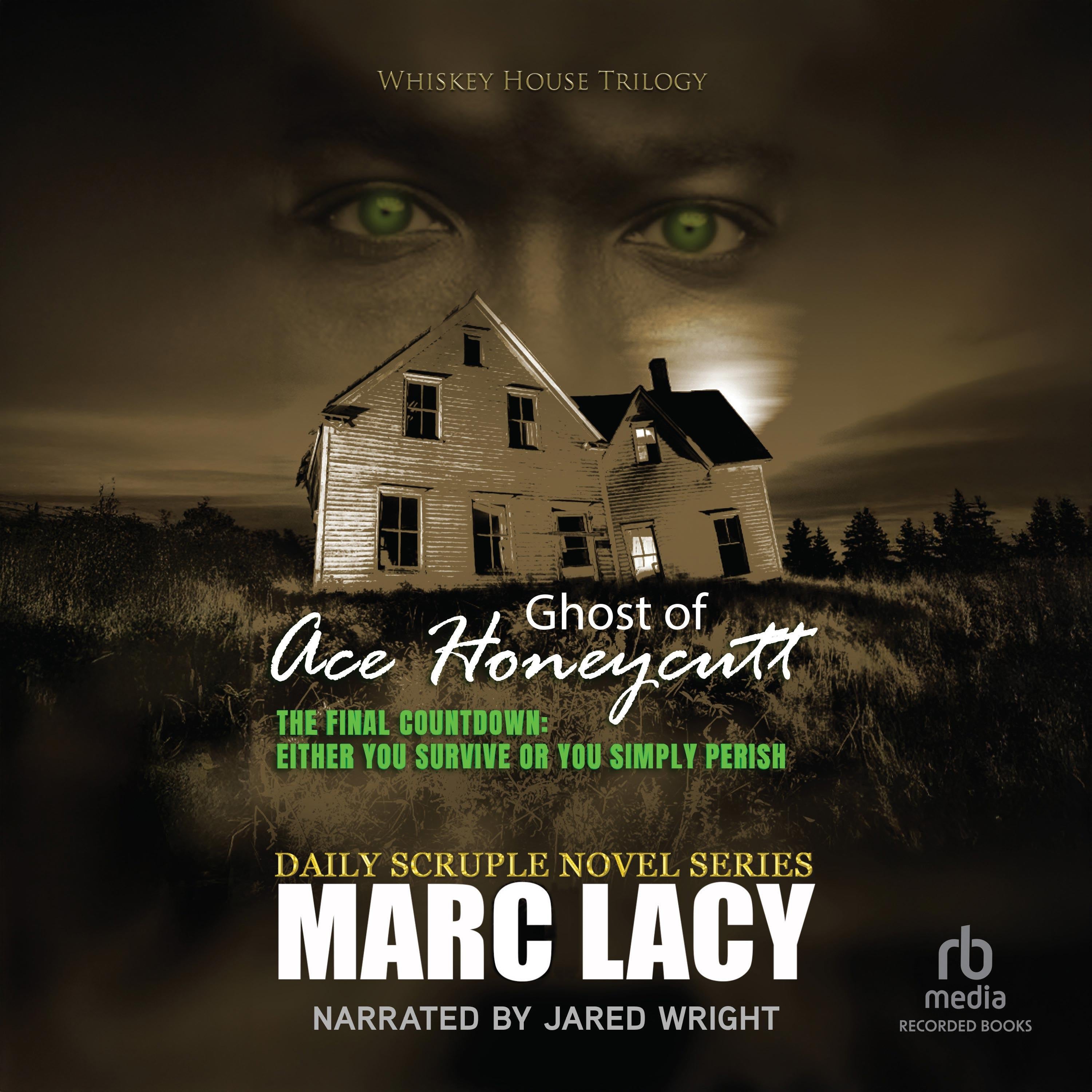Ghost of Ace Honeycutt