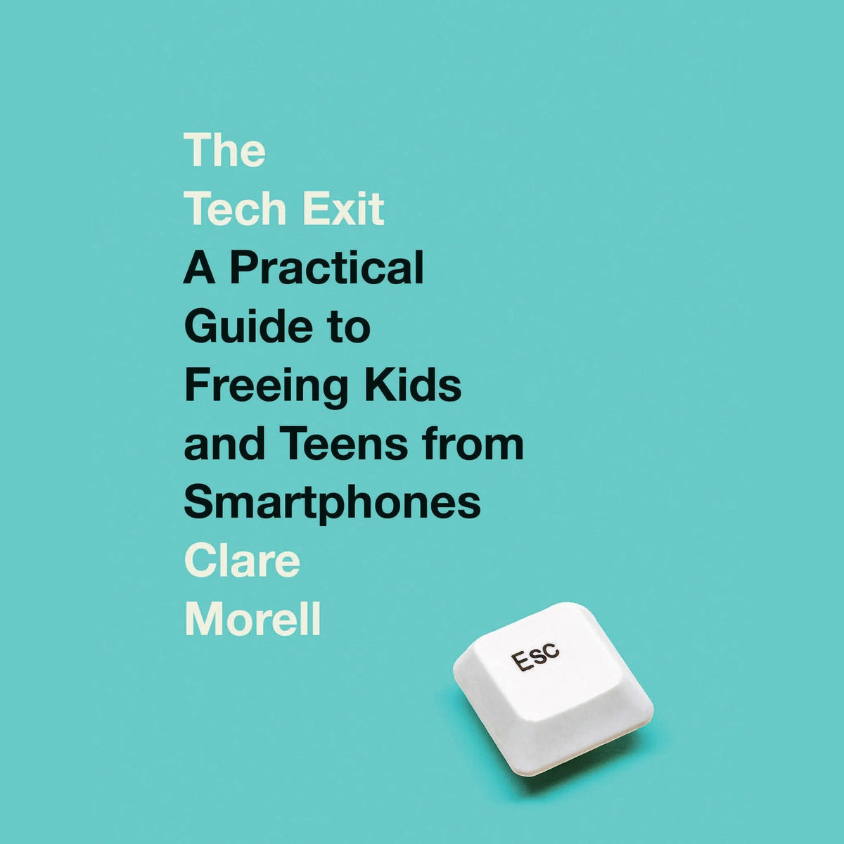 The Tech Exit