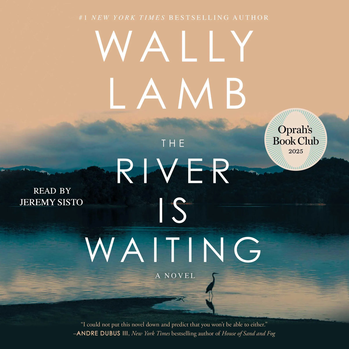 The River Is Waiting (Oprah's Book Club)