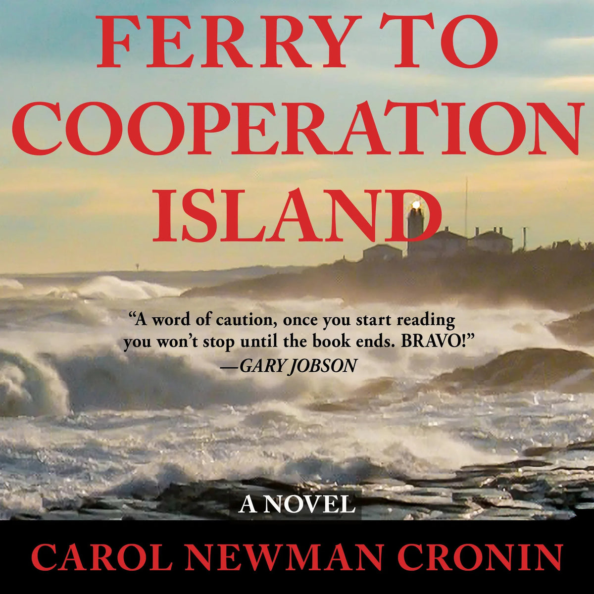 Ferry to Cooperation Island