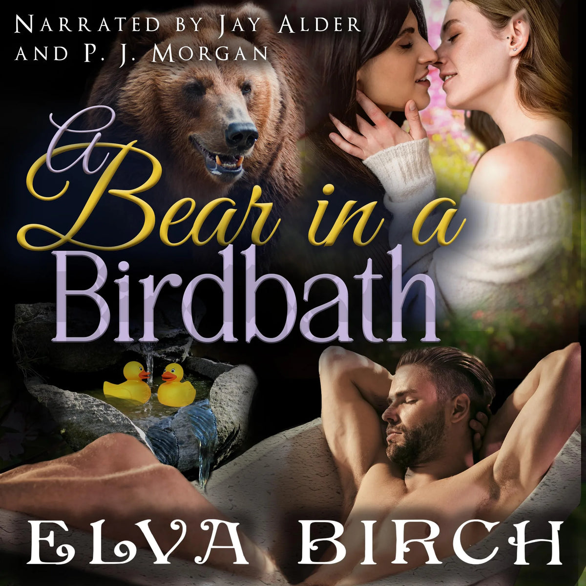A Bear in a Birdbath