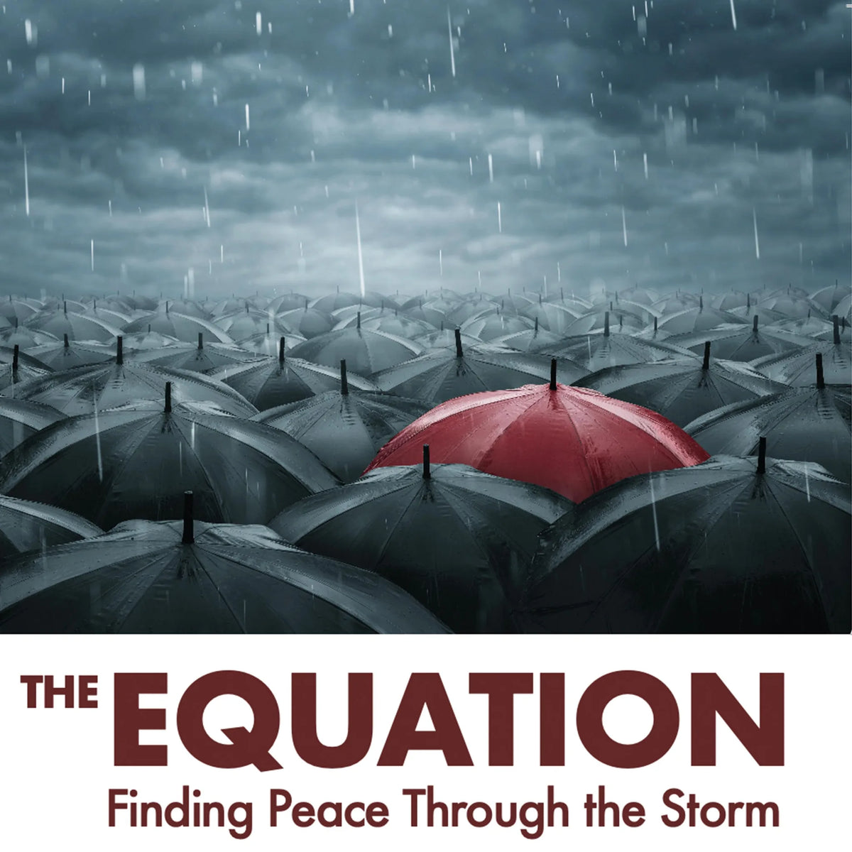 The Equation