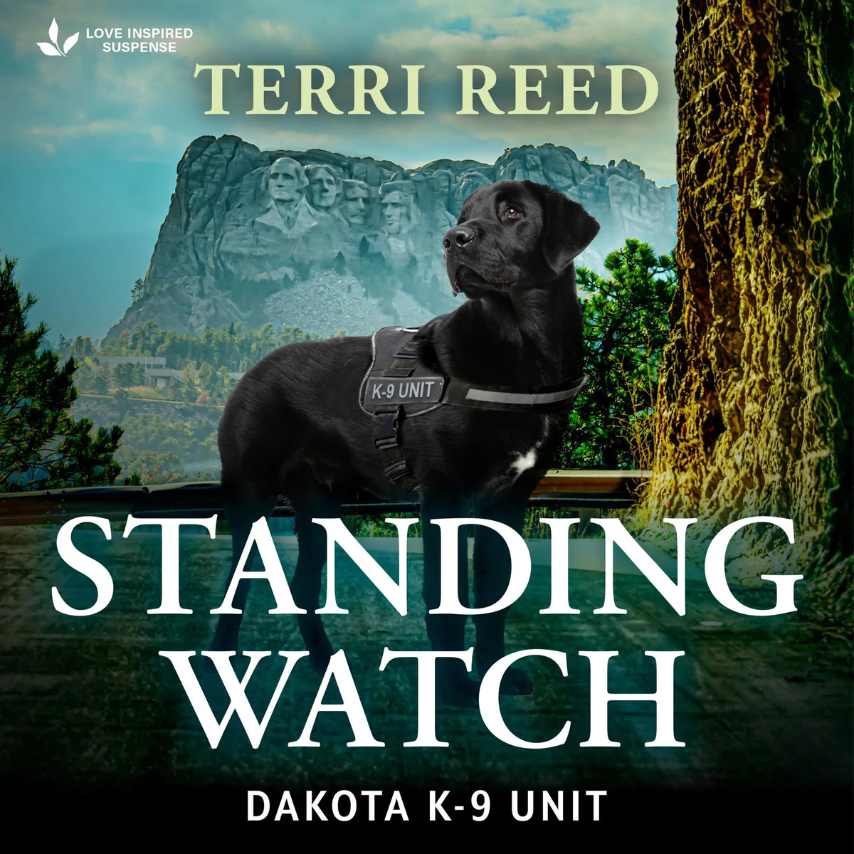 Standing Watch