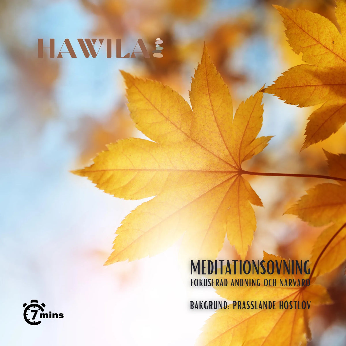 Meditationsövning - Prasslande höstlöv