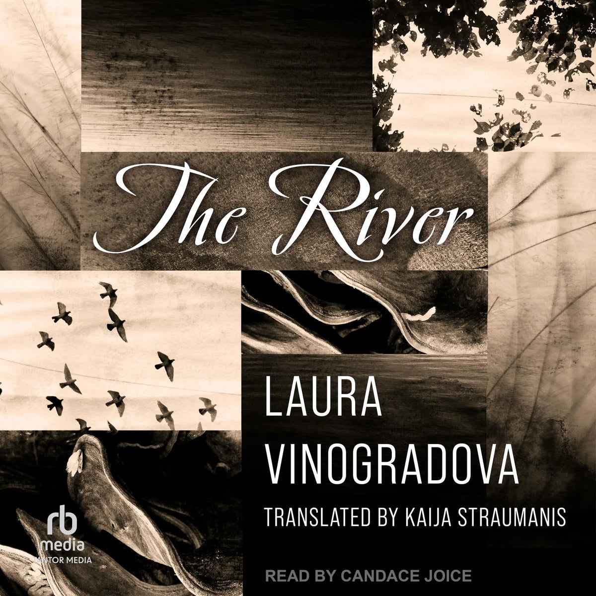 The River