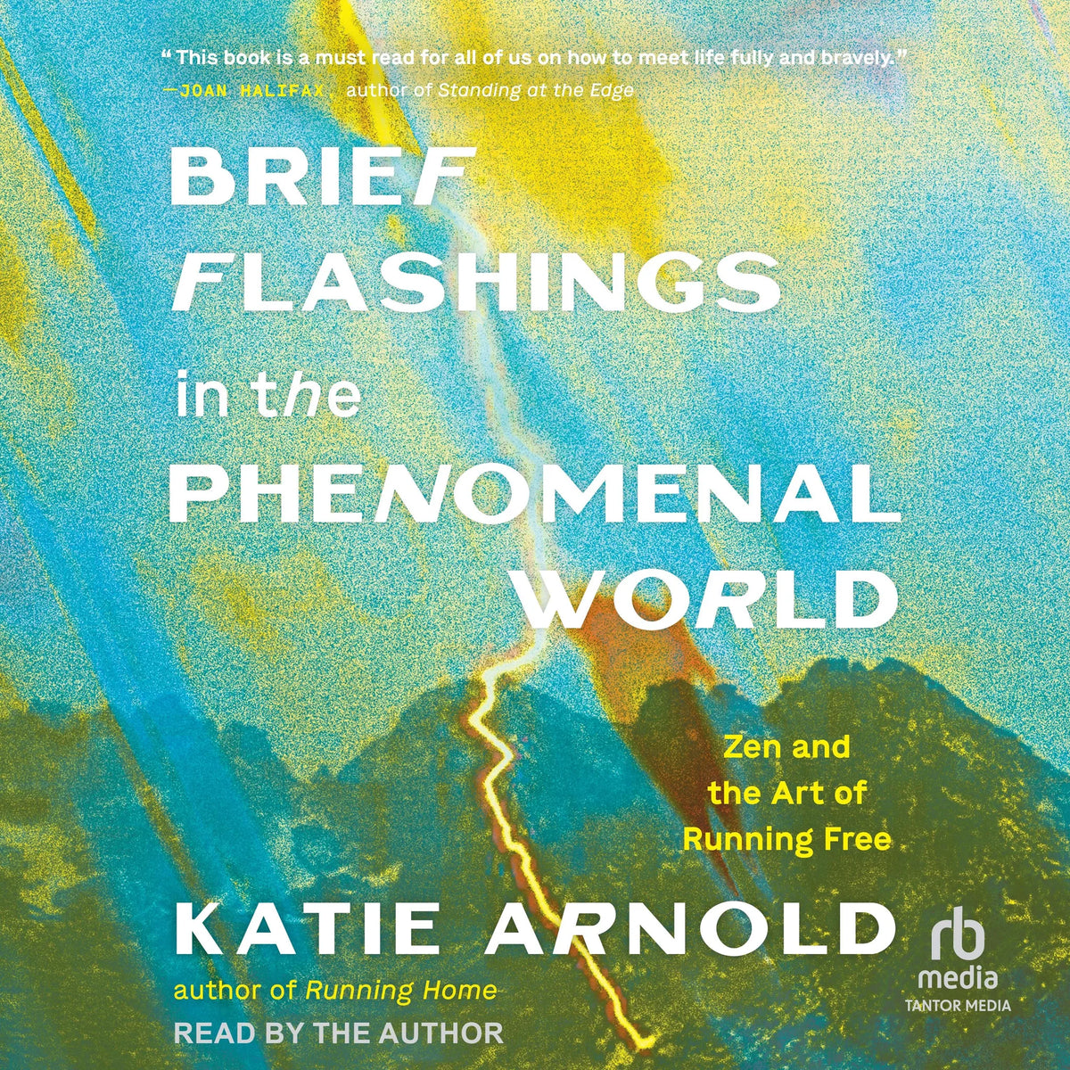 Brief Flashings in the Phenomenal World