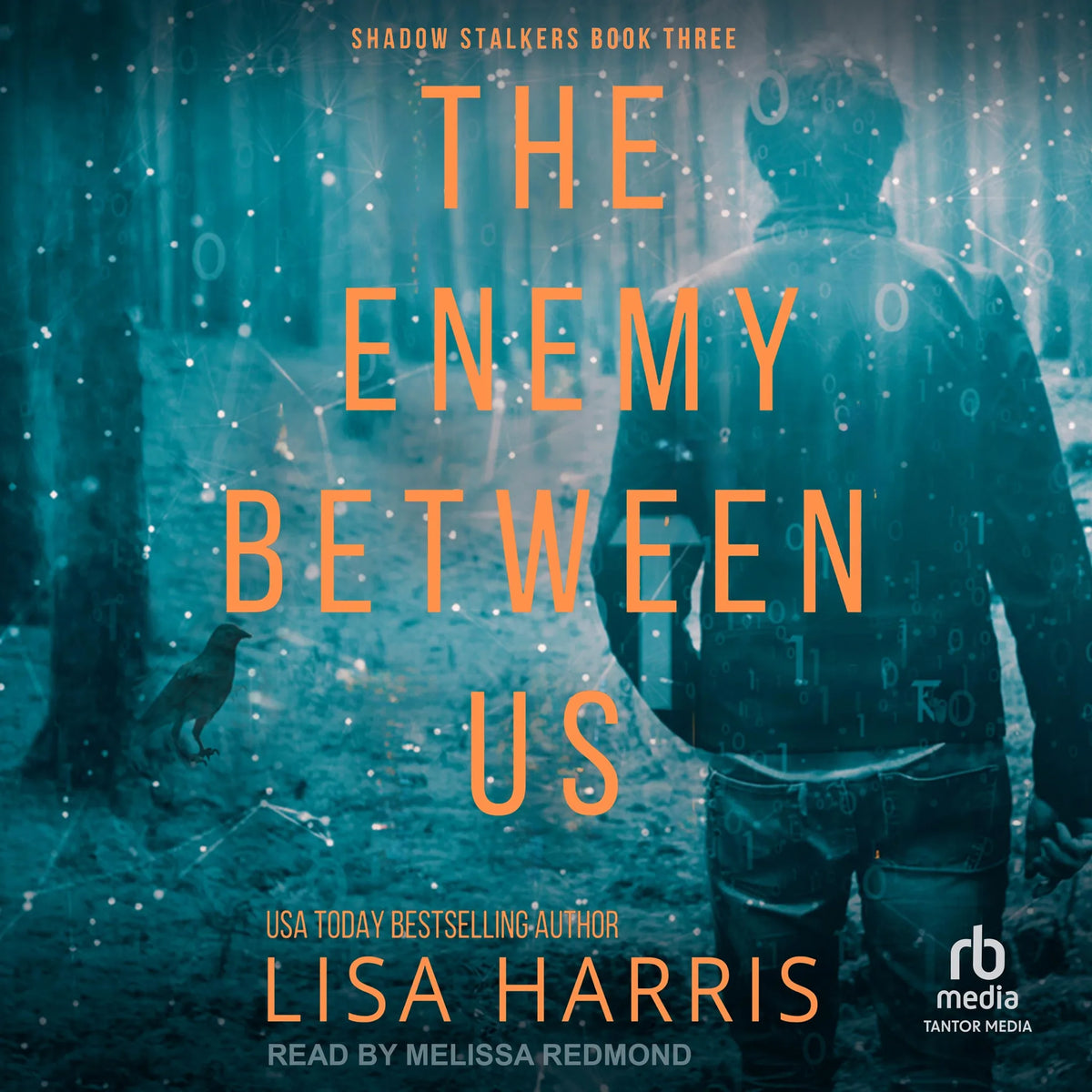 The Enemy Between Us