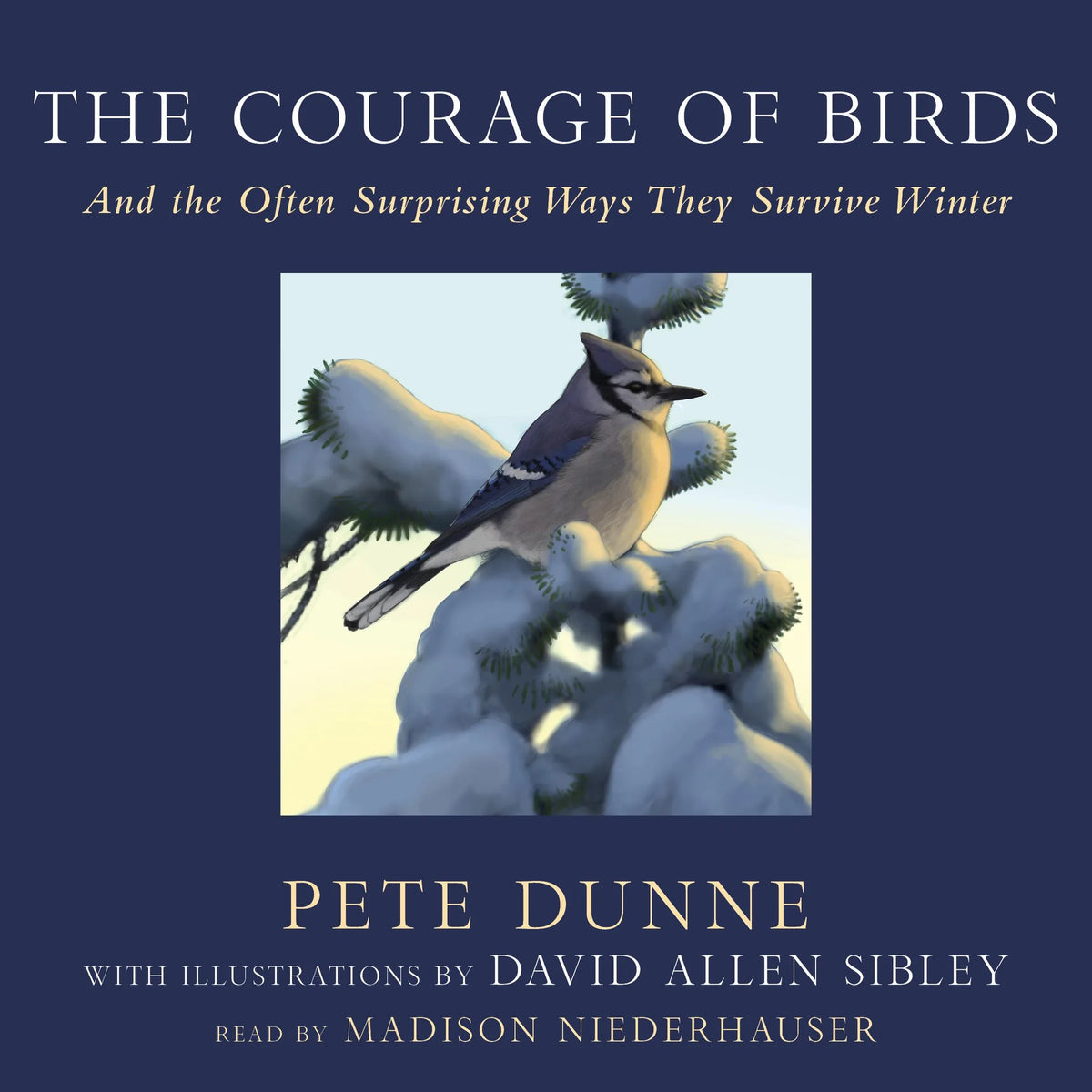 The Courage of Birds
