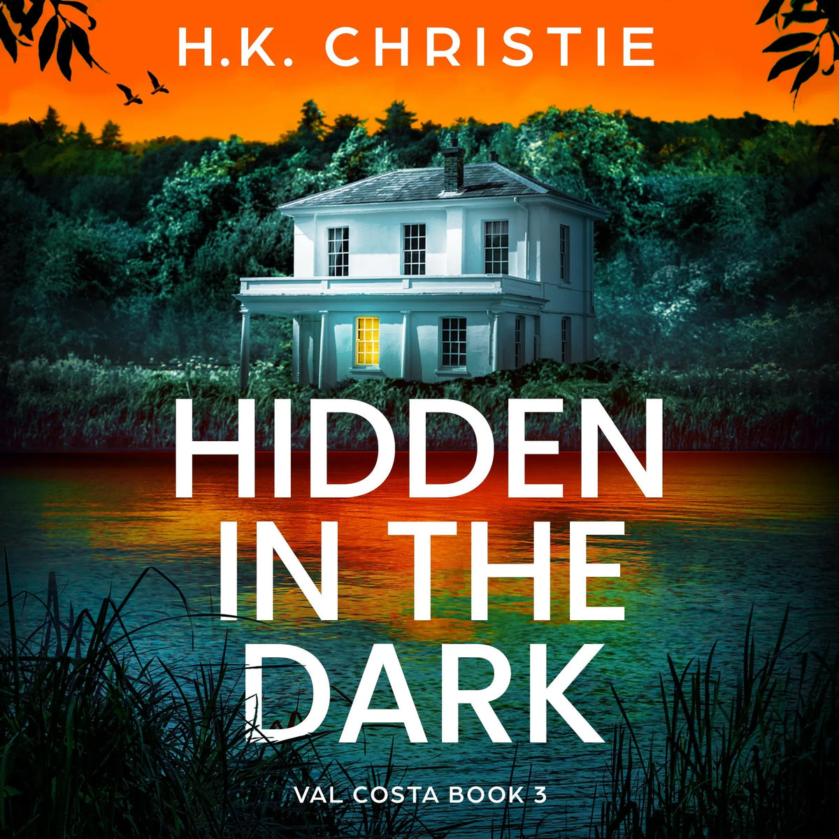 Hidden in the Dark