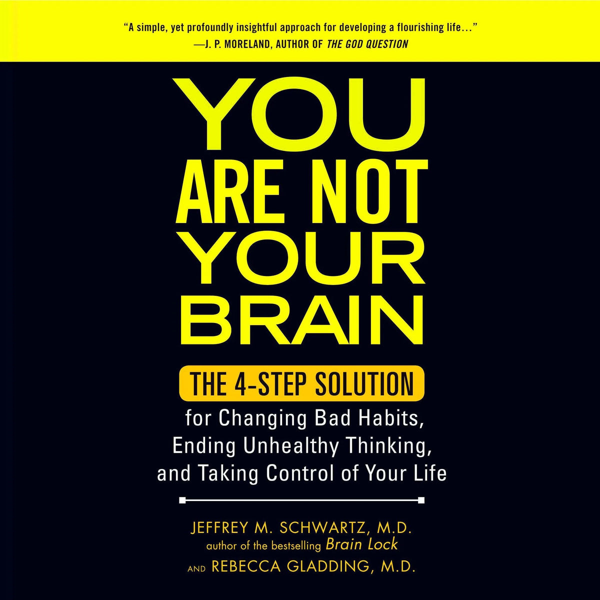 You Are Not Your Brain