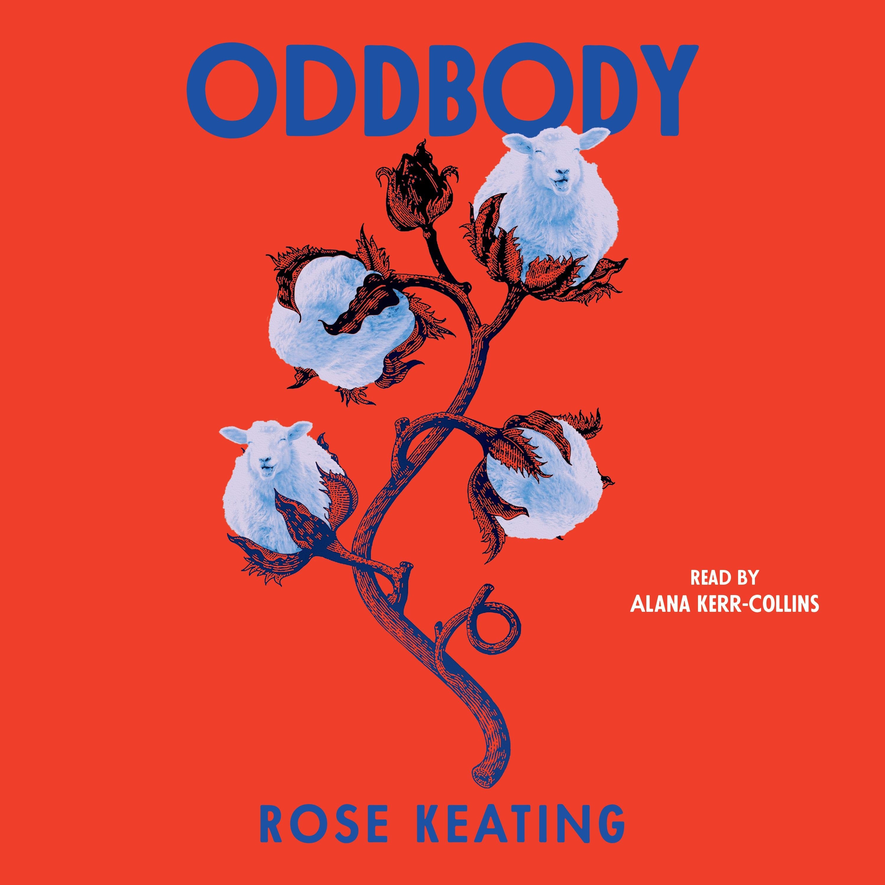 Oddbody