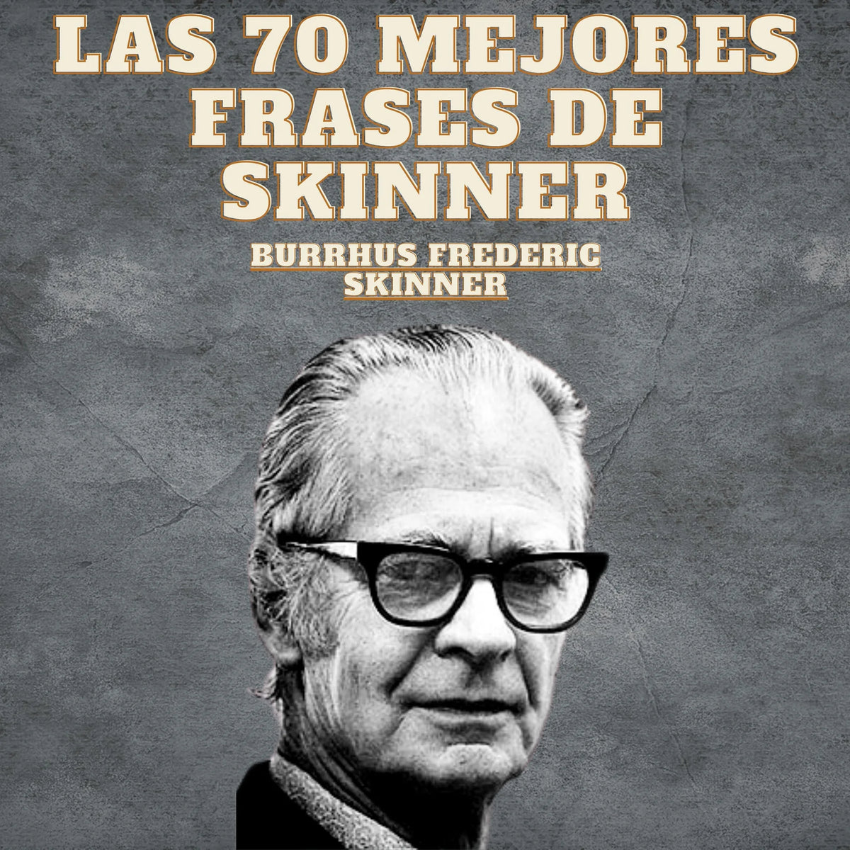 Las 70 Mejores Frases De Skinner