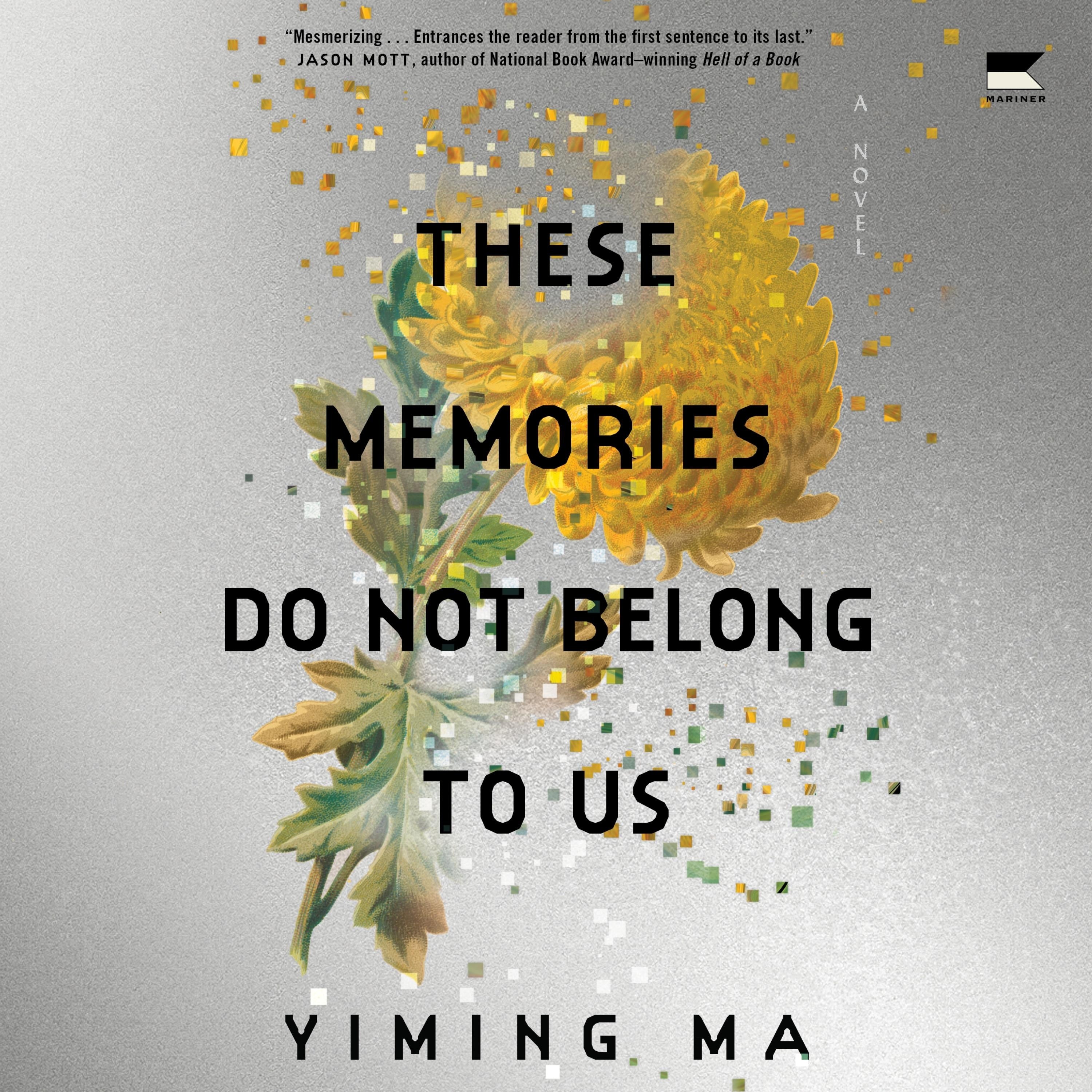 These Memories Do Not Belong to Us