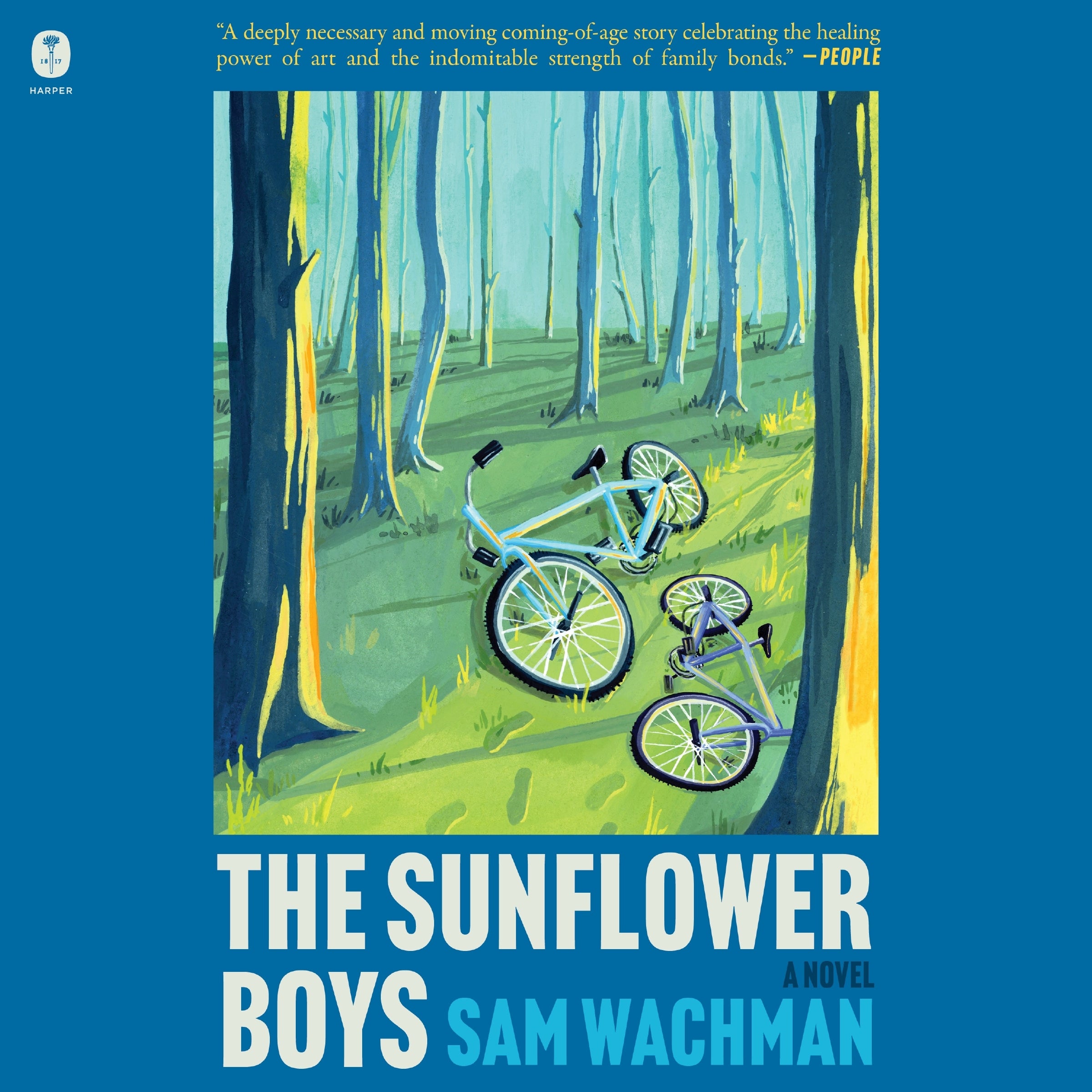 The Sunflower Boys