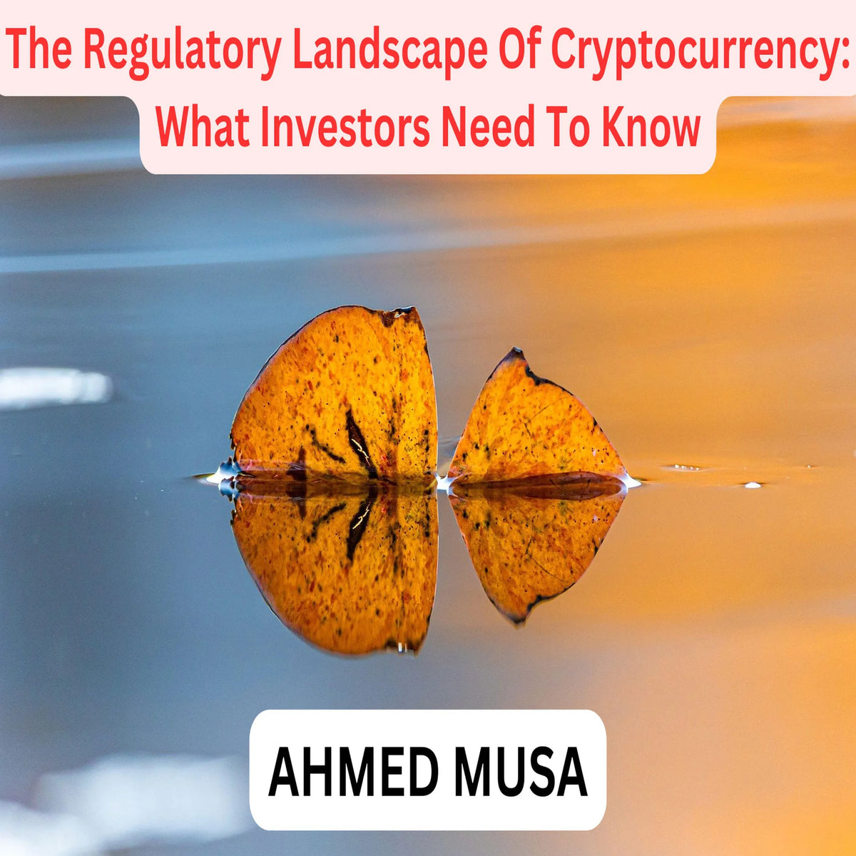 The Regulatory Landscape Of Cryptocurrency: What Investors Need To Know