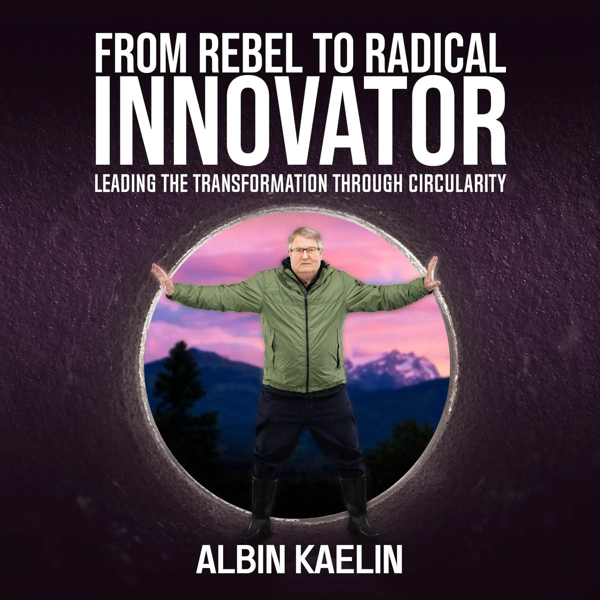 From Rebel to Radical Innovator