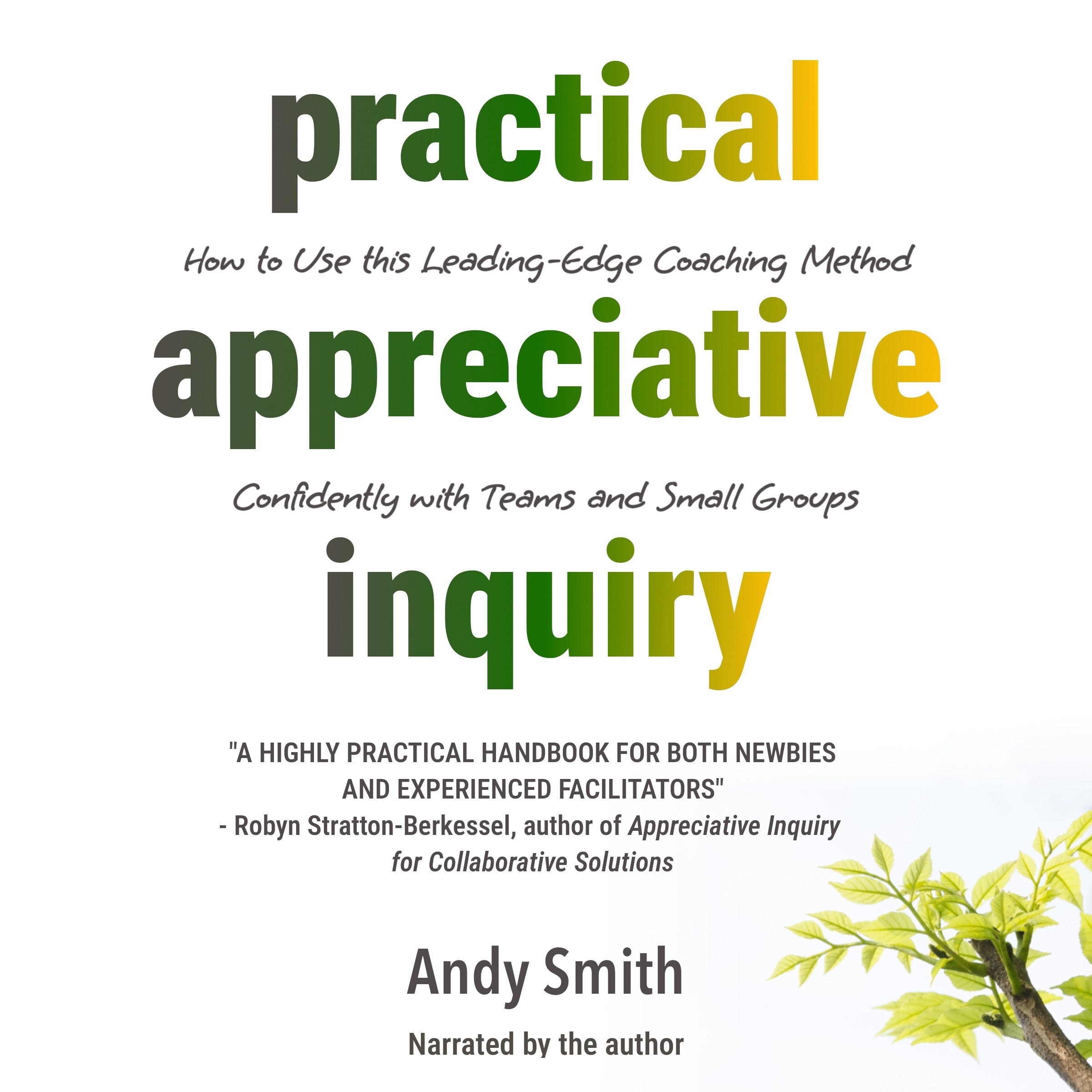 Practical Appreciative Inquiry