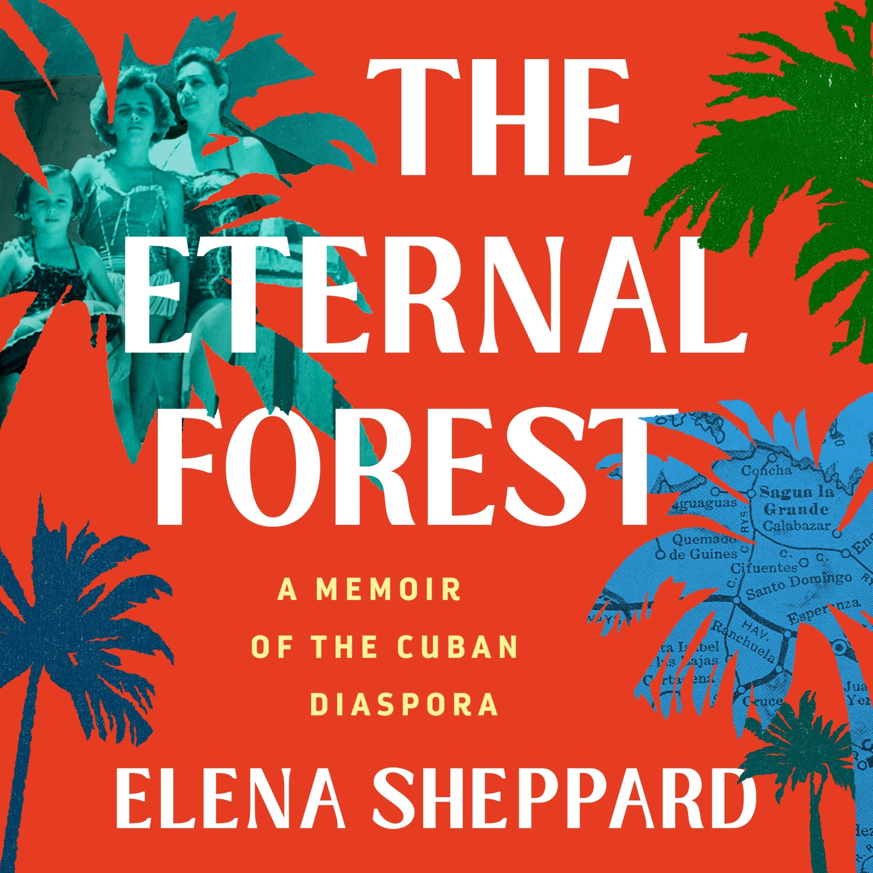 The Eternal Forest