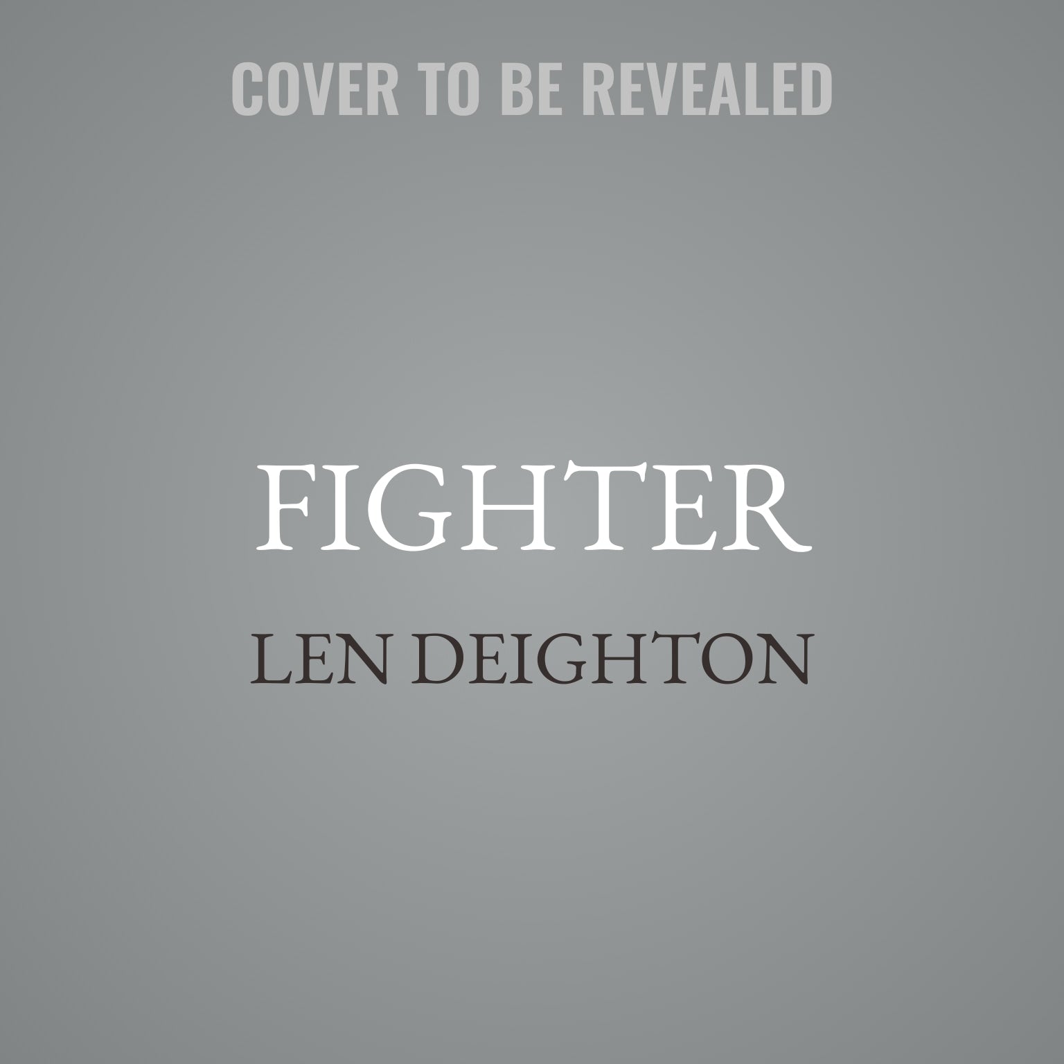 Fighter