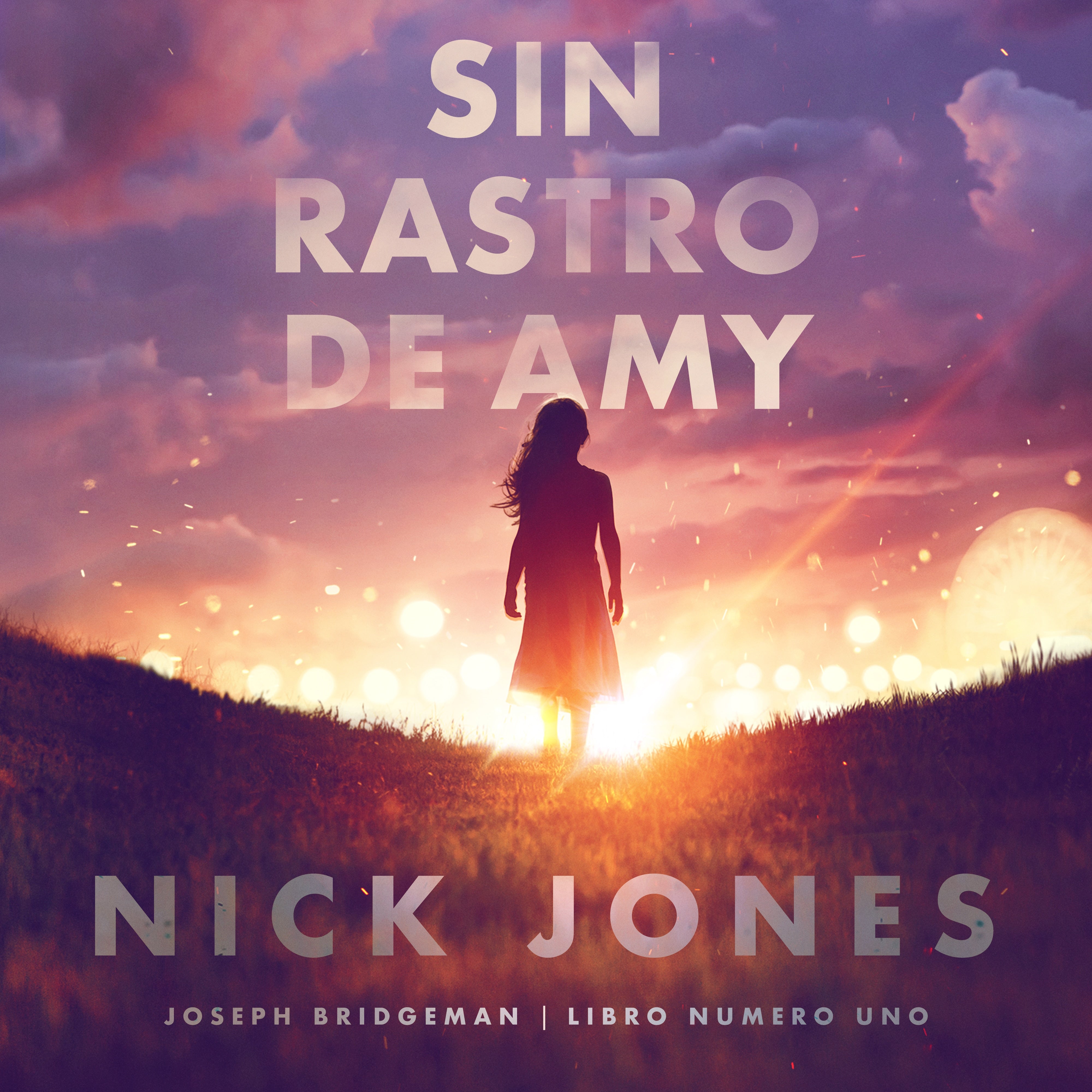 Sin rastro de Amy