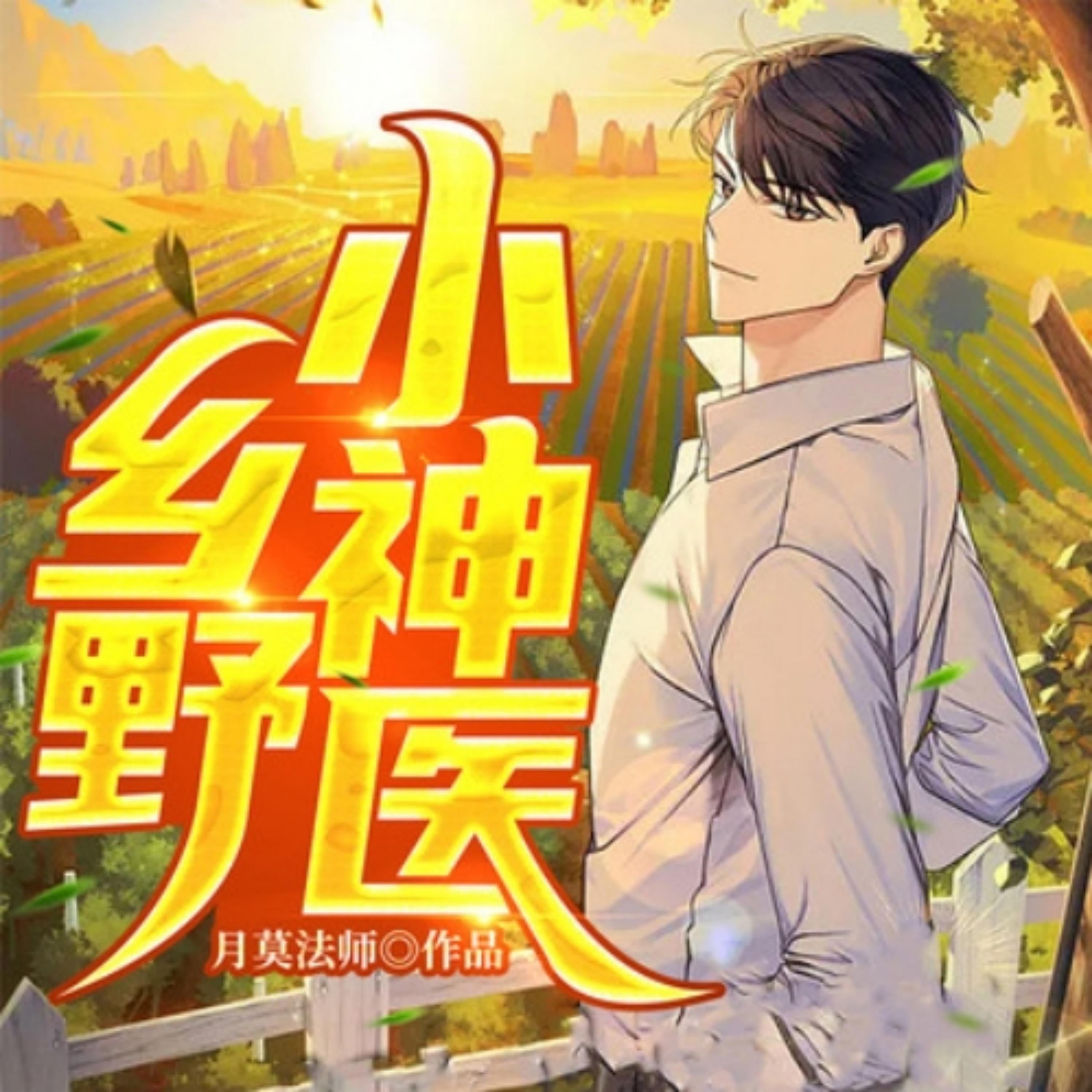 乡野小神医2|都市生活|异术超能