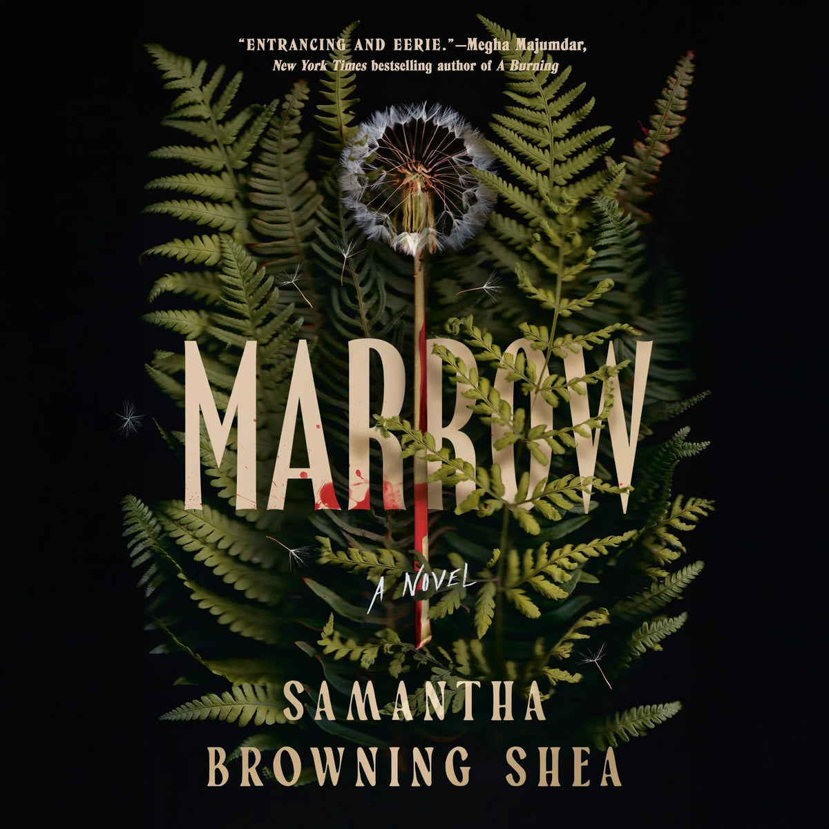 Marrow