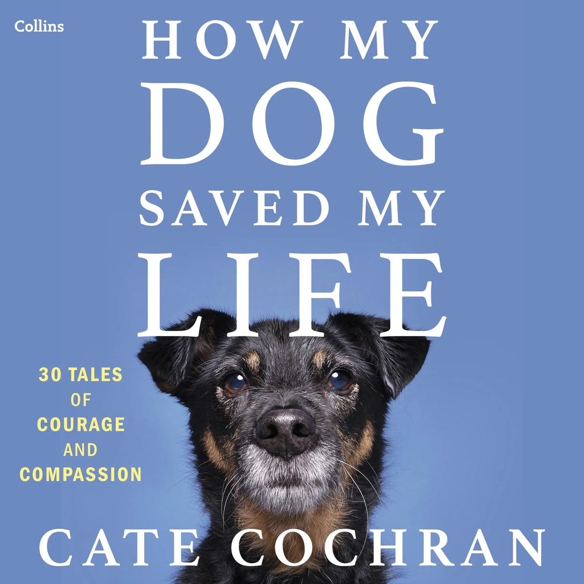 How My Dog Saved My Life