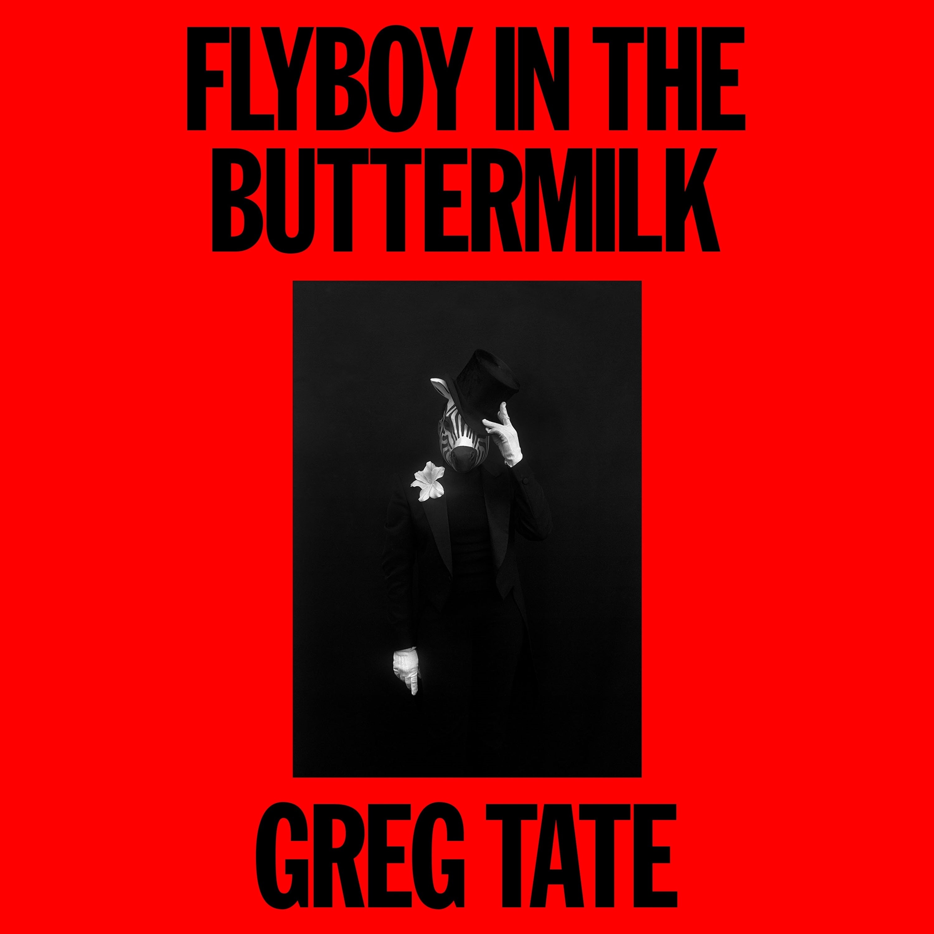Flyboy in the Buttermilk