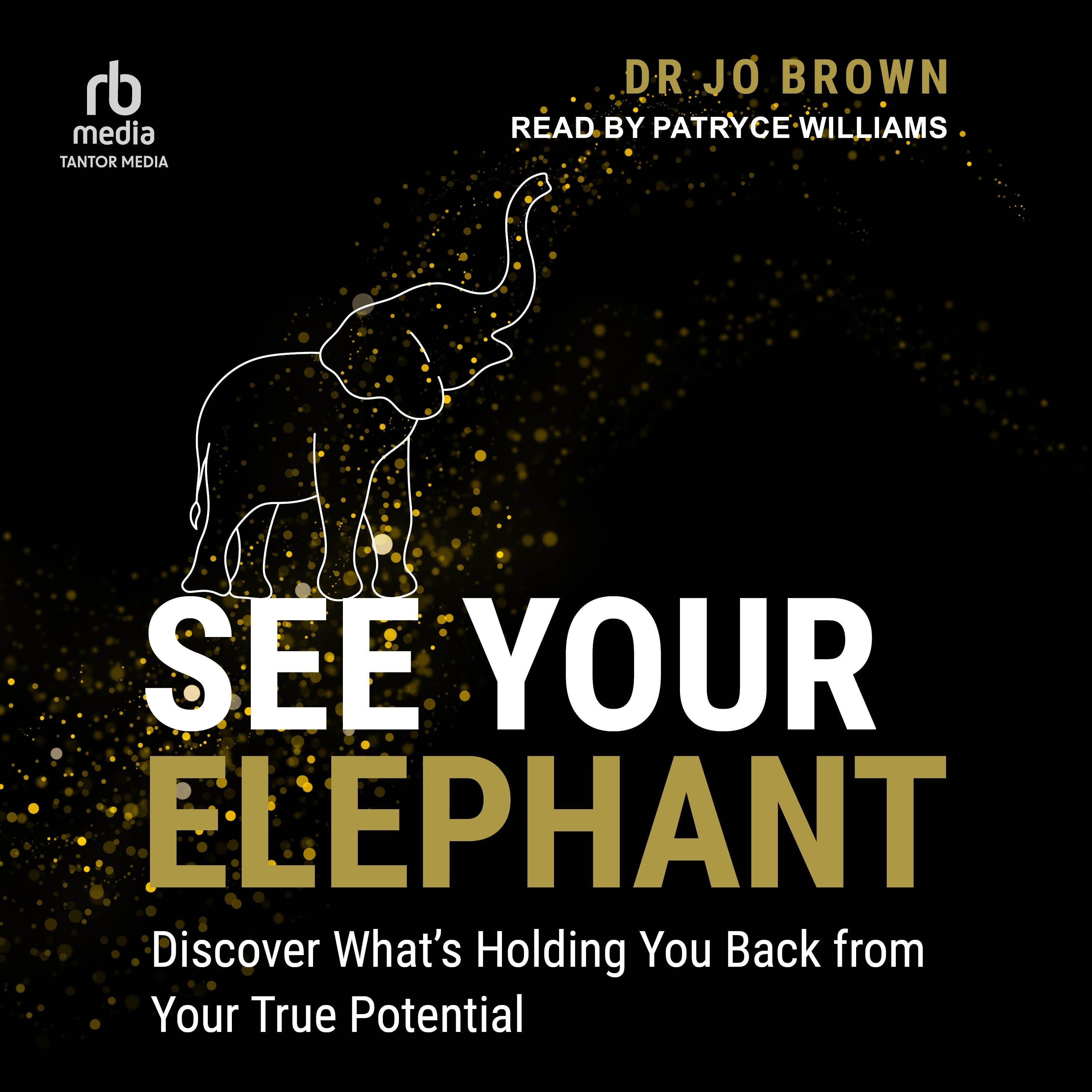 See Your Elephant